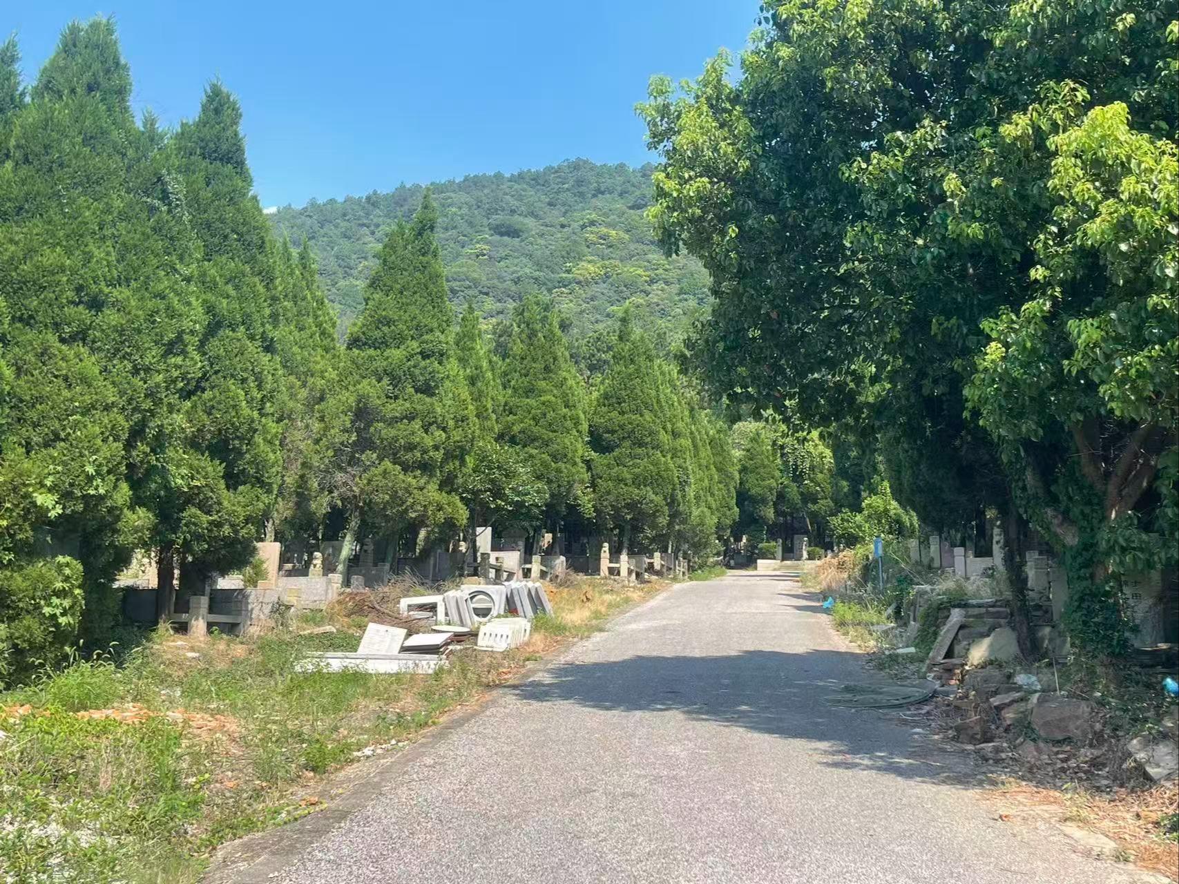 越溪街道张桥公墓园区图片