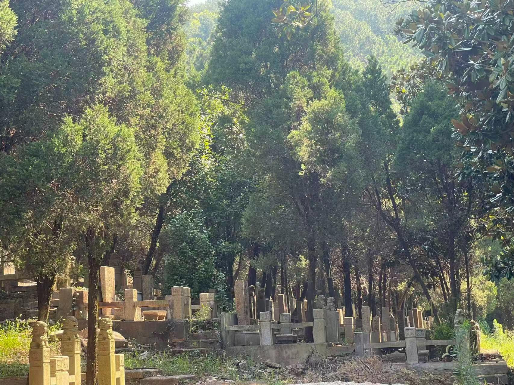 越溪街道张桥公墓园区图片