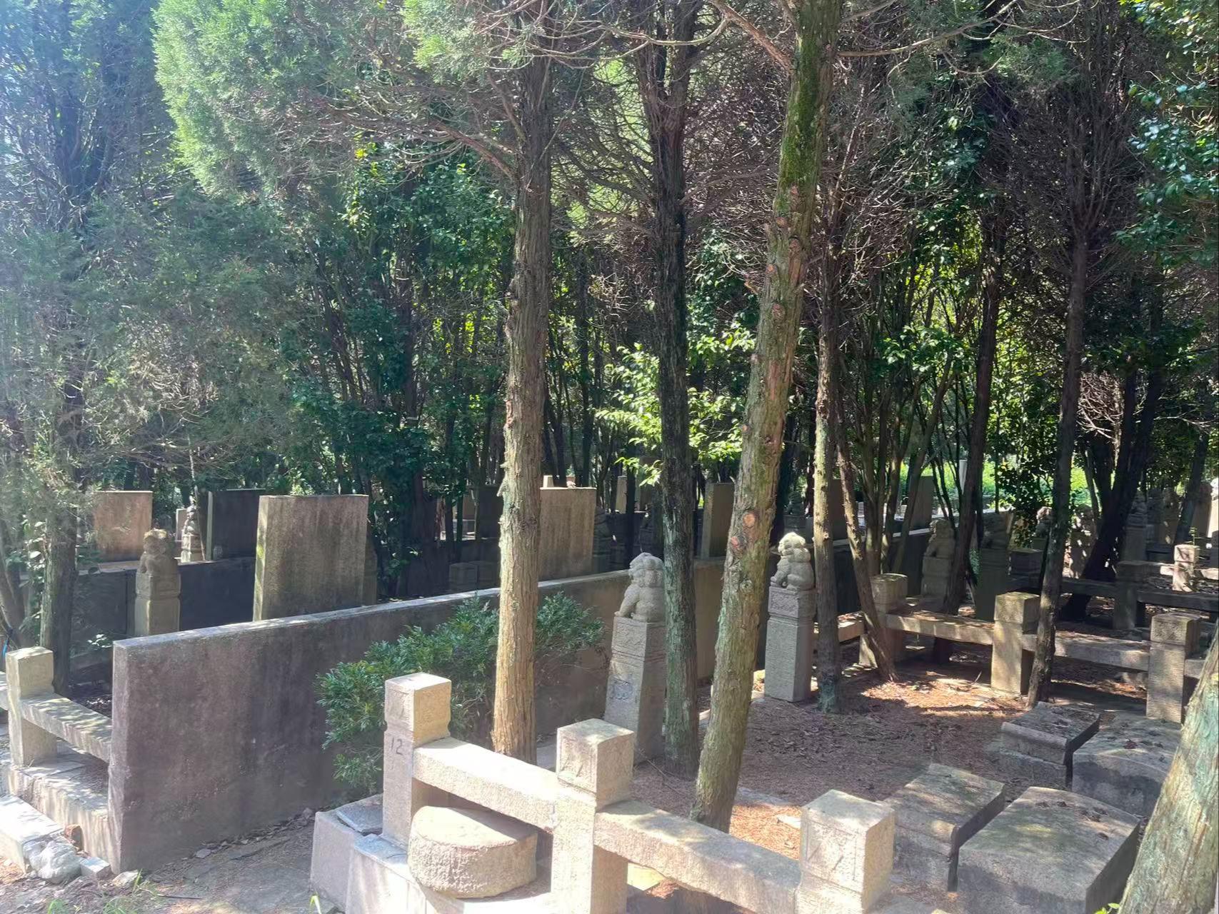 越溪街道张桥公墓园区图片