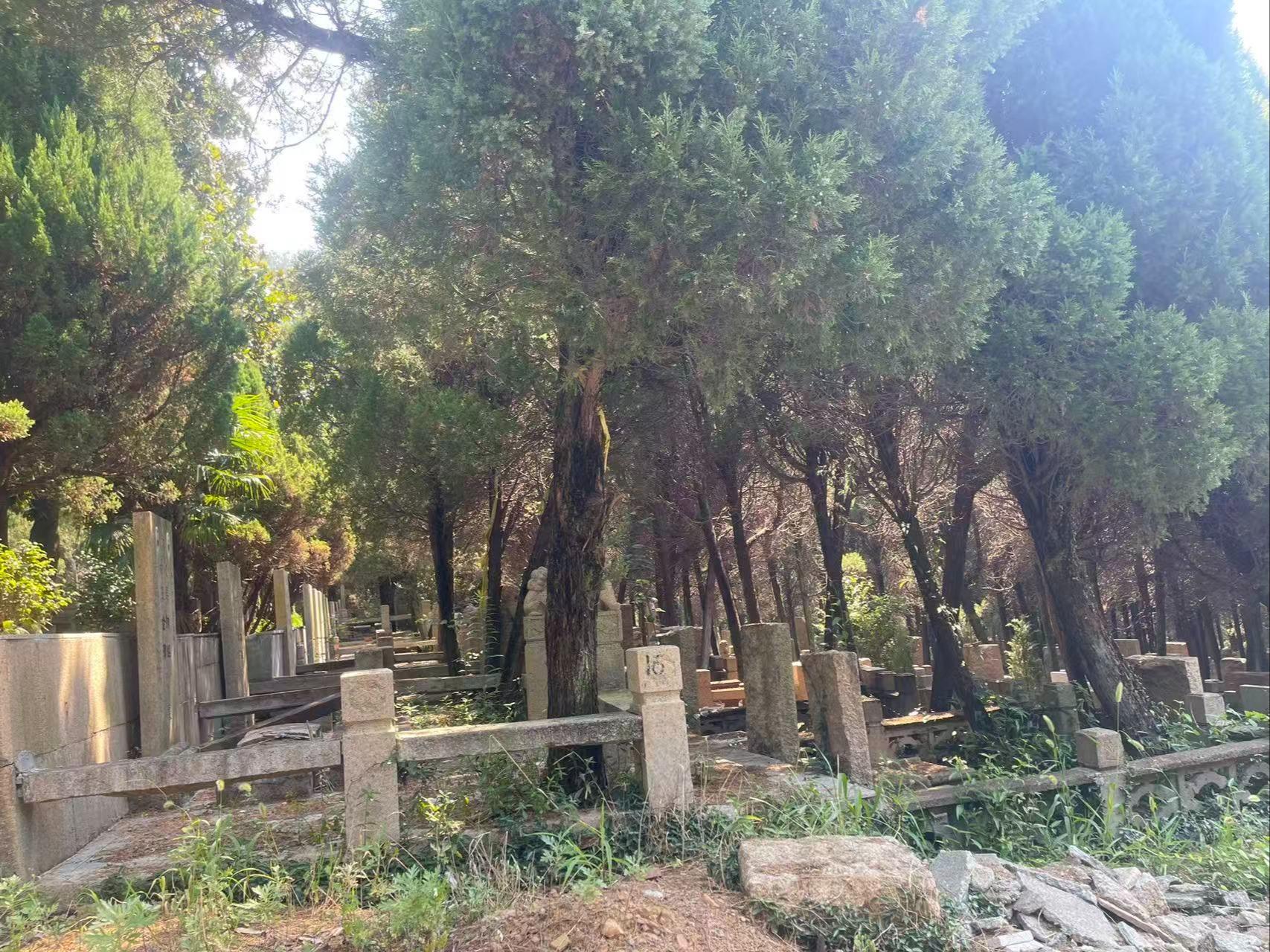 越溪街道吴山头公墓园区图片