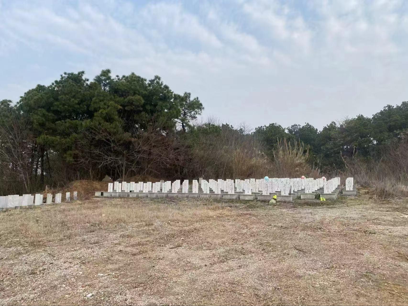 南京市溧水区石湫街道月亮山公墓园区图片