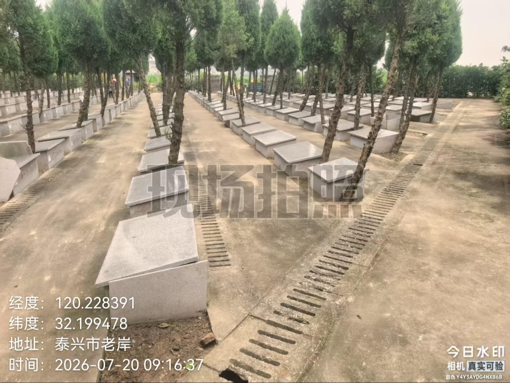 黄桥镇公益性公墓路庄墓区园区图片