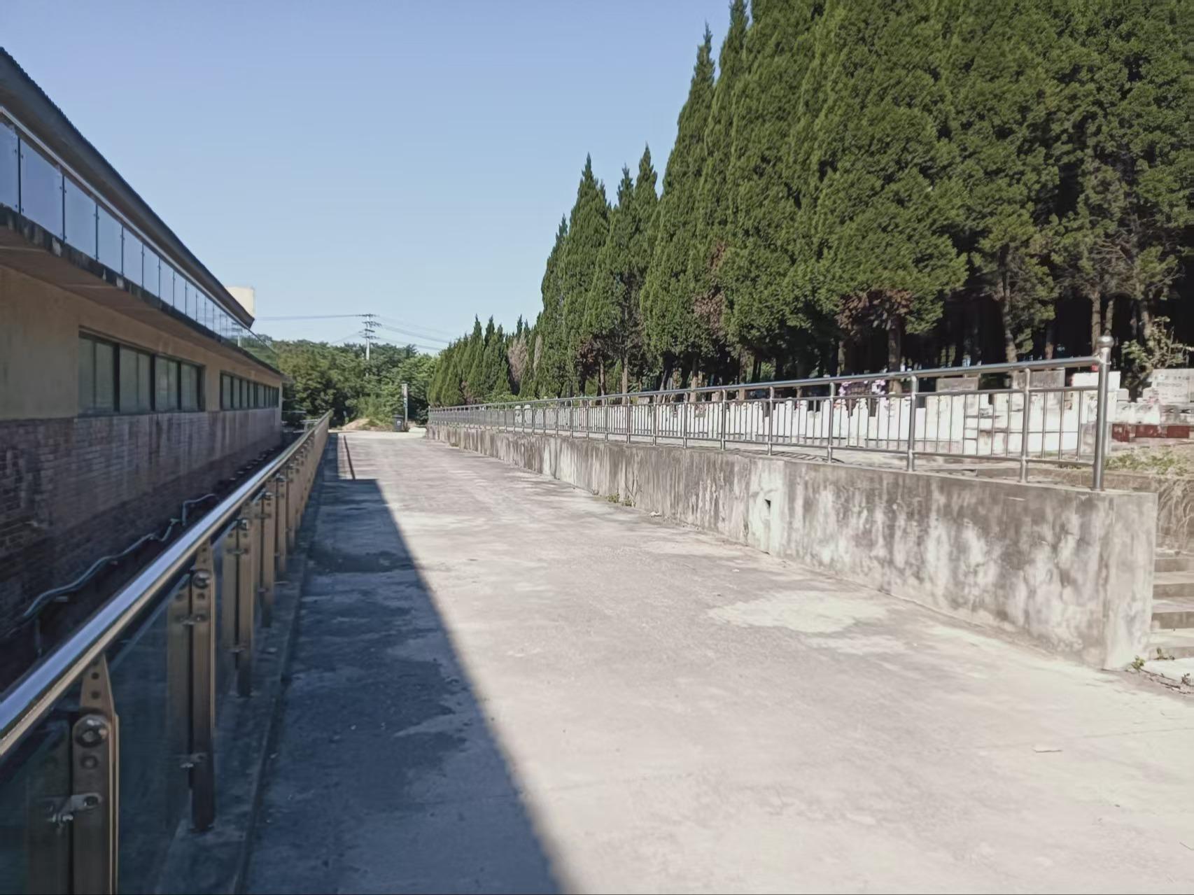 湖熟街道卧龙山公墓园区图片
