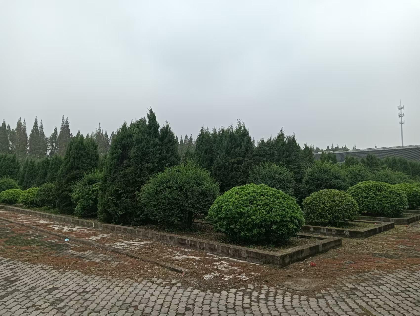 常熟市梅李镇思亲苑园区图片