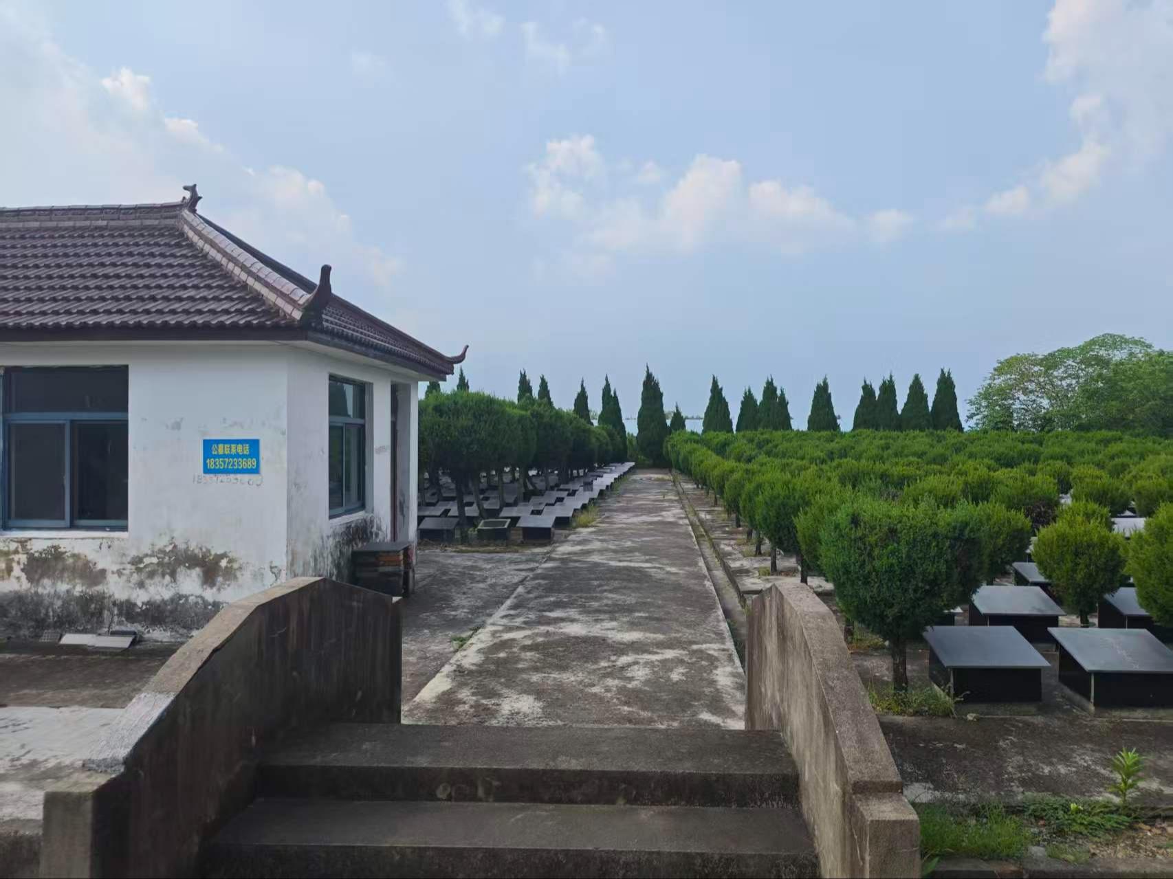 大桥镇联合公墓园区图片