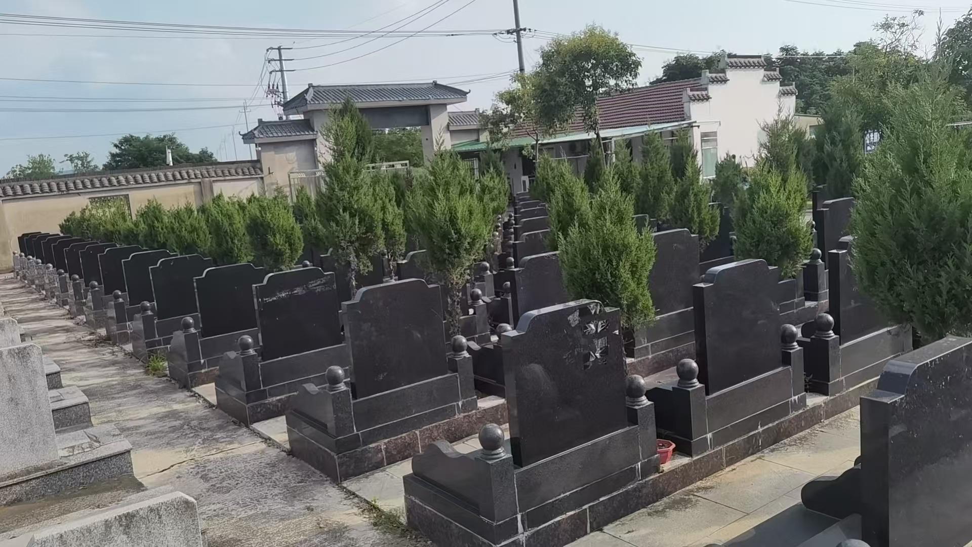 六合区横梁街道朱洪山公墓园区图片