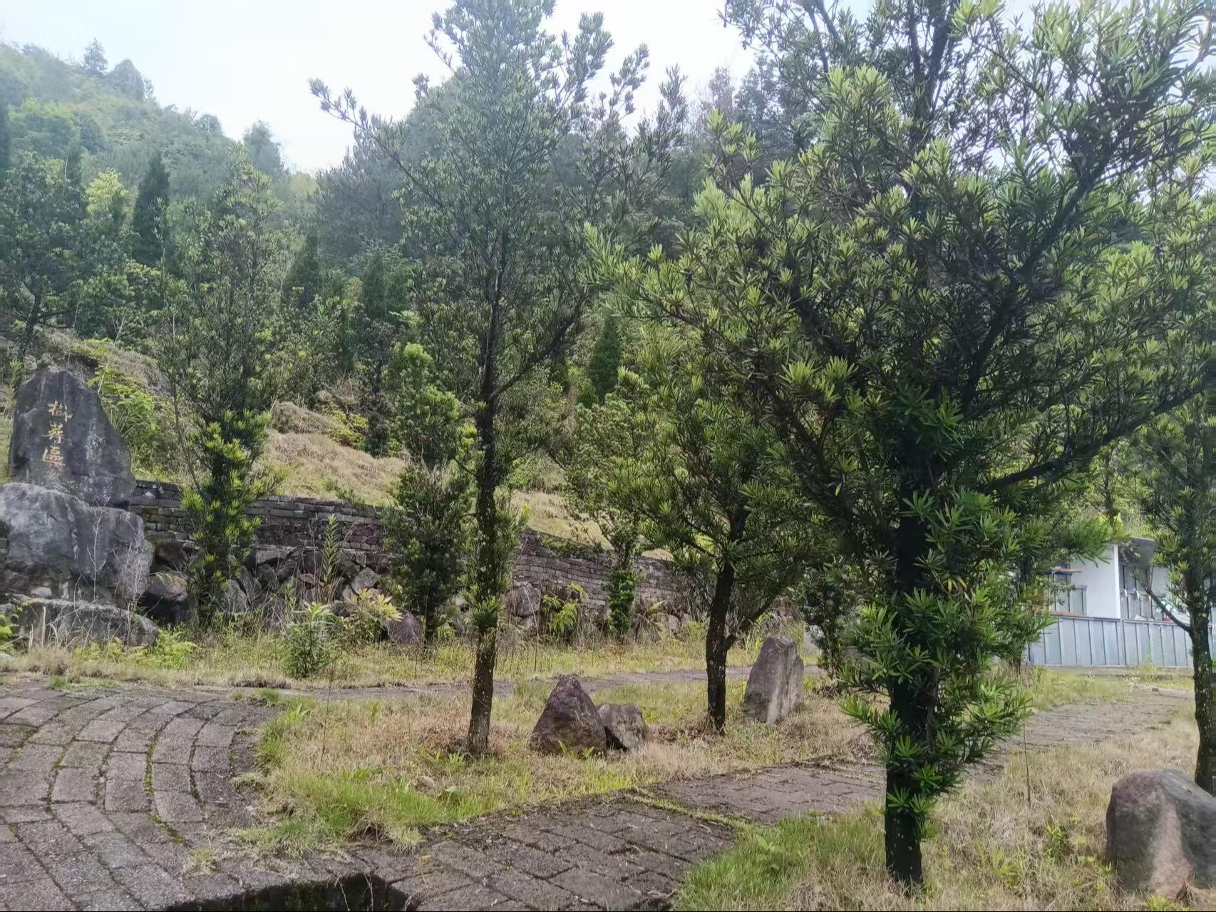泰顺县罗阳镇高山公墓服务中心园区图片