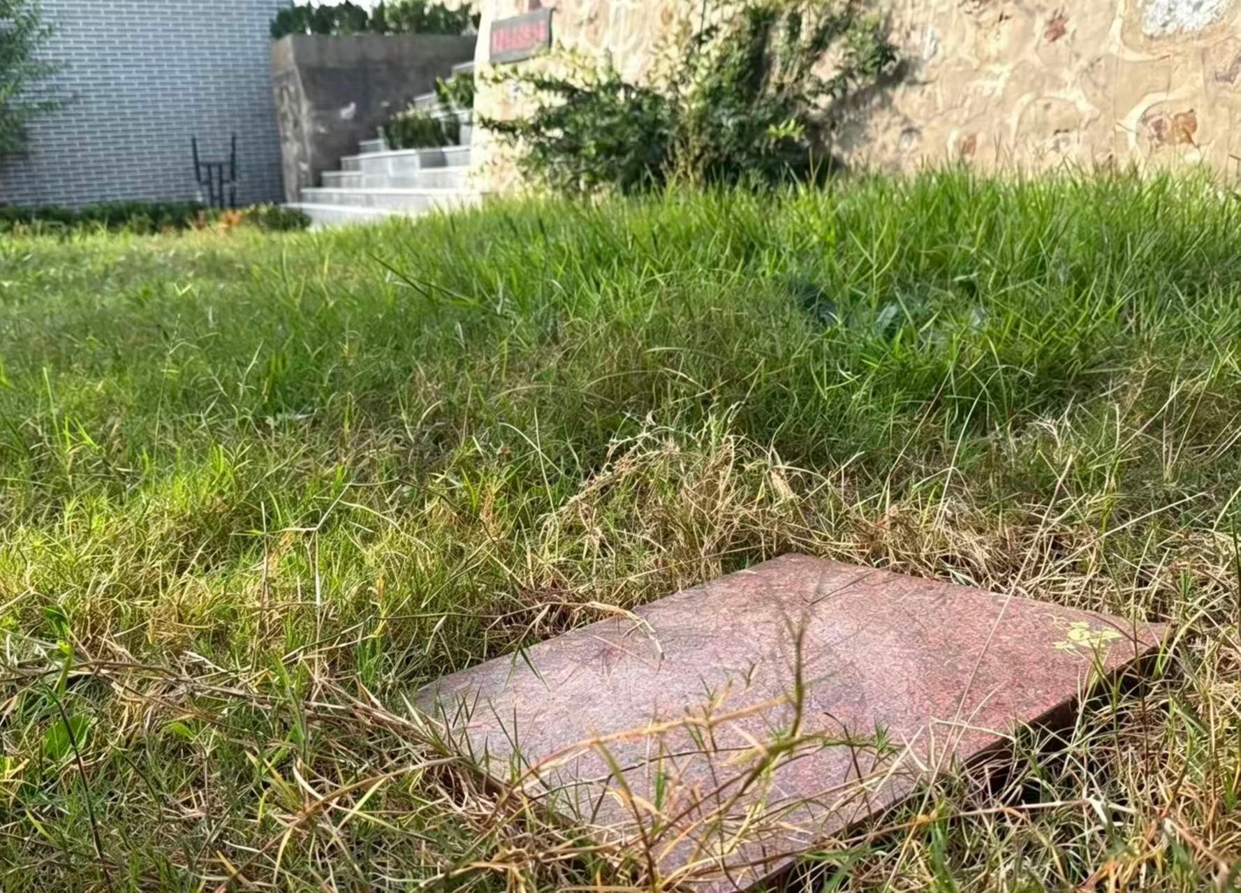 博爱县城市公益性公墓园区图片