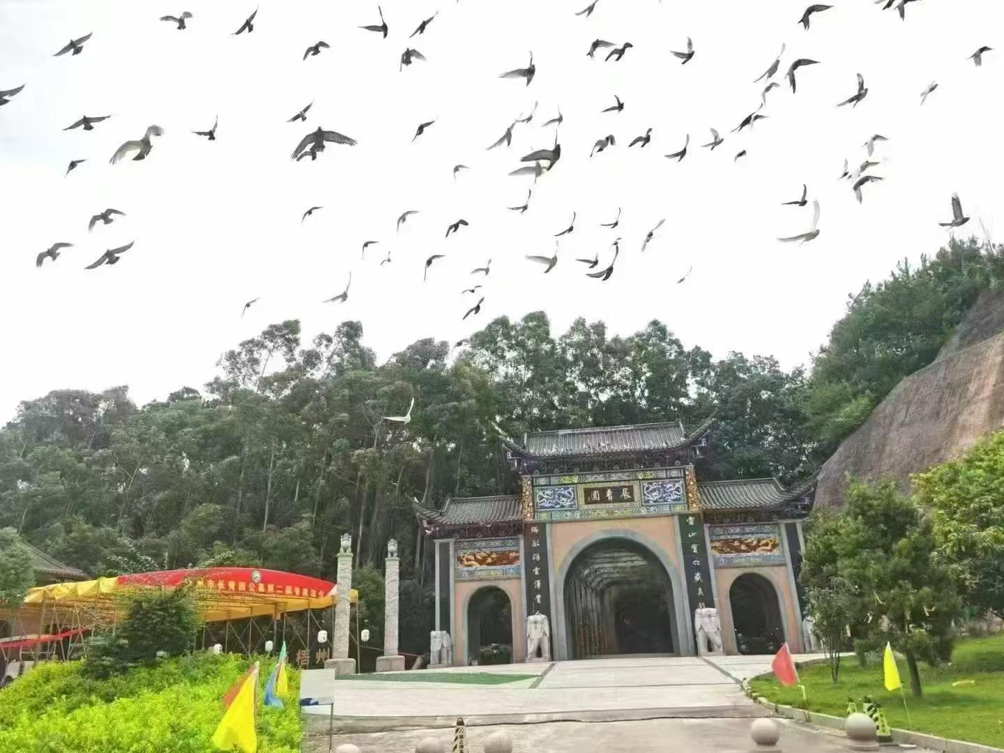 梧州市益顺开发建设有限公司园区图片