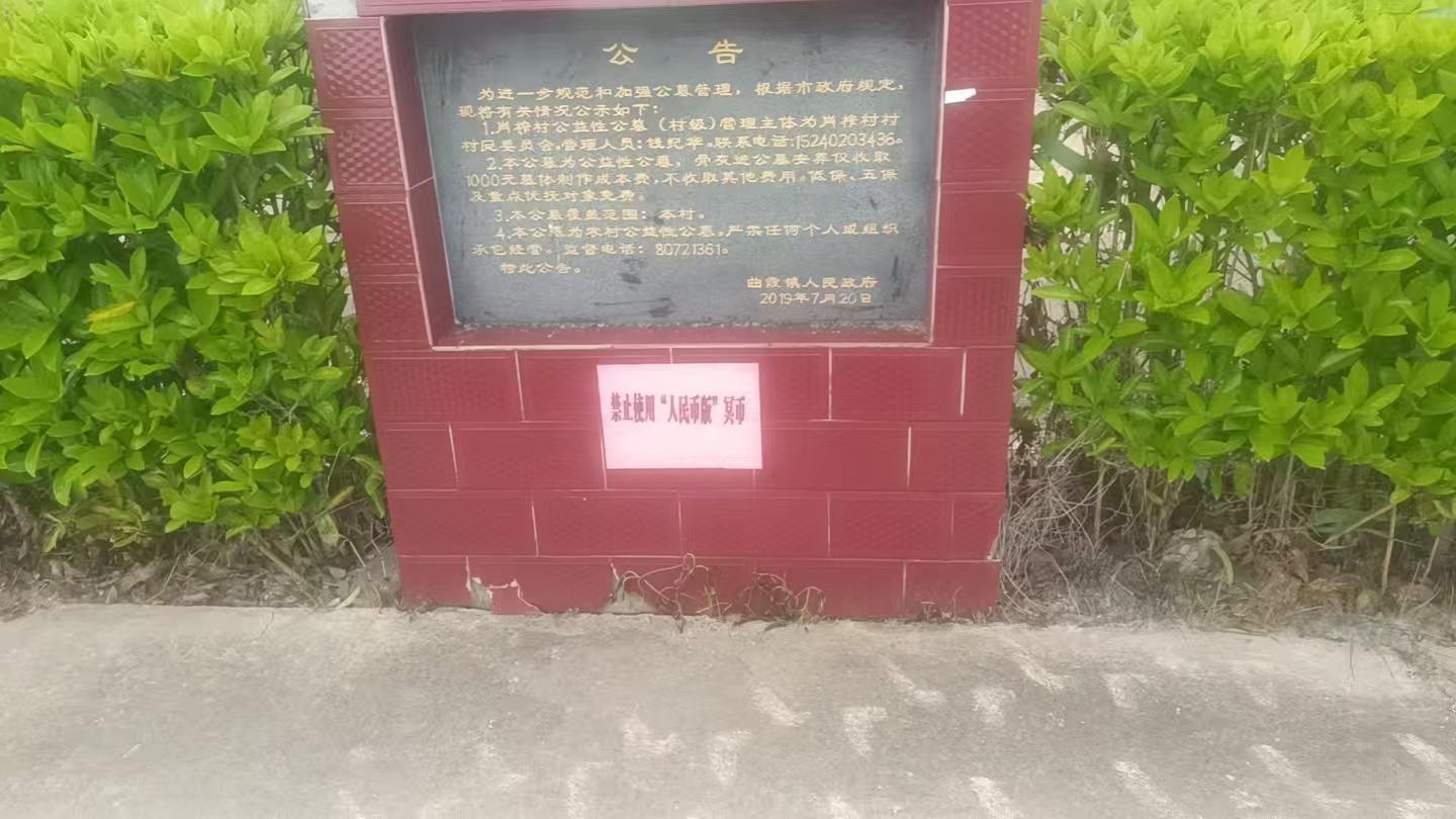 泰兴市曲霞镇公益性公墓肖榨墓区园区图片