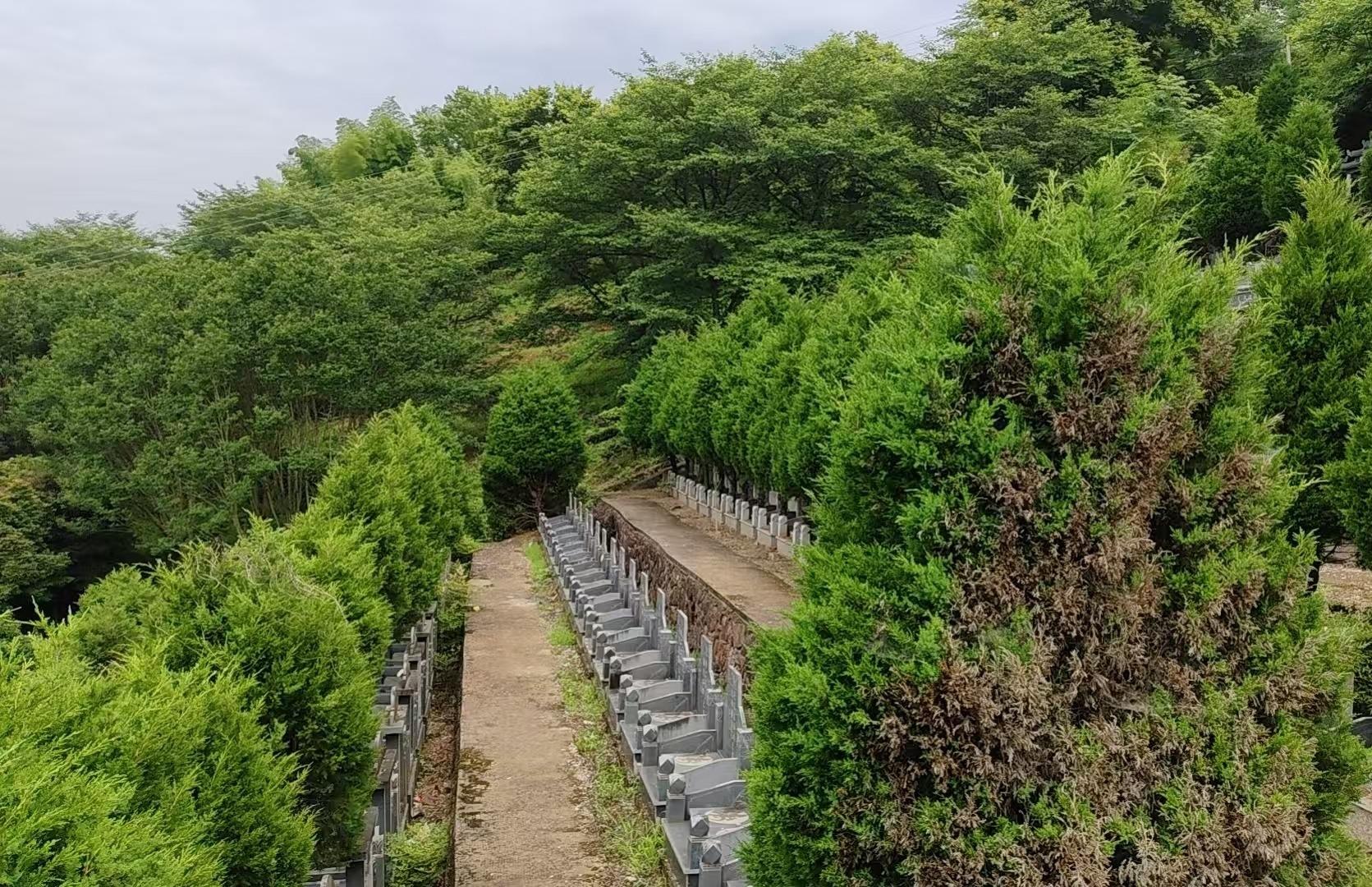 景山公墓园区图片