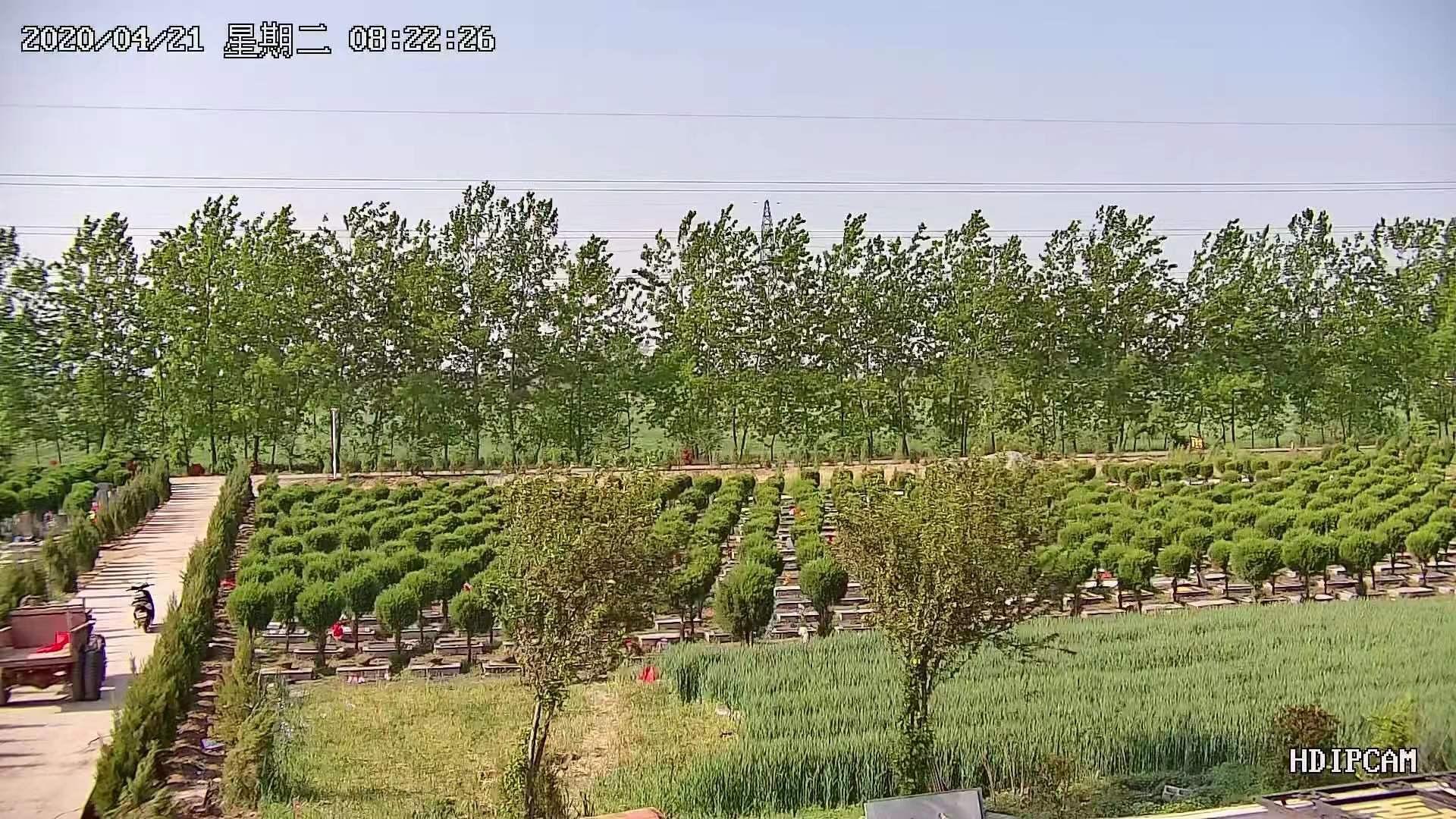 北沟街道百世园公墓园区图片