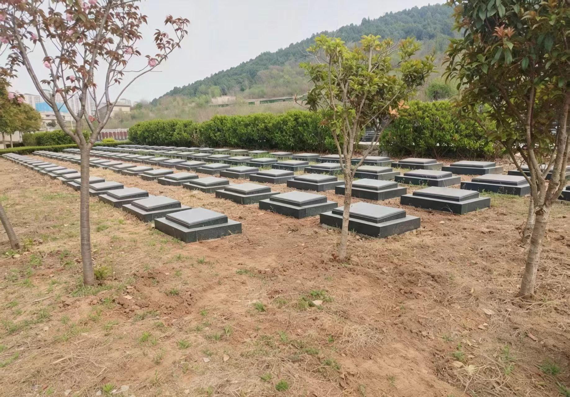 龙山福地公益性公墓园区图片