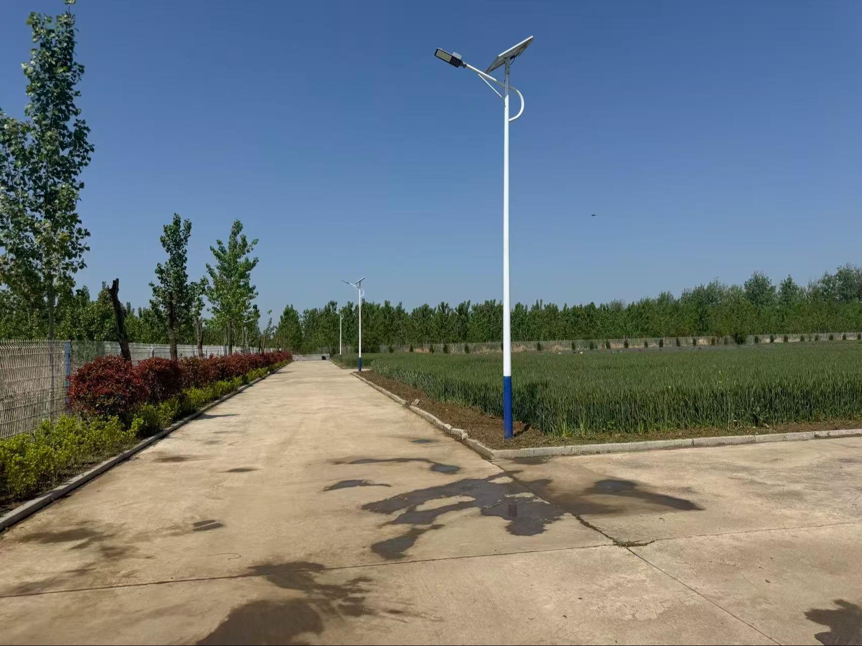时集镇公墓园区图片