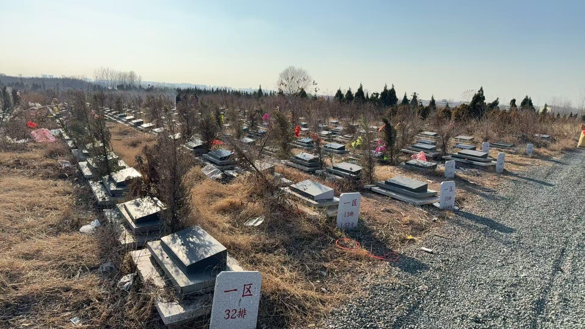 孔圩村北马陵公益性生态公墓园区图片