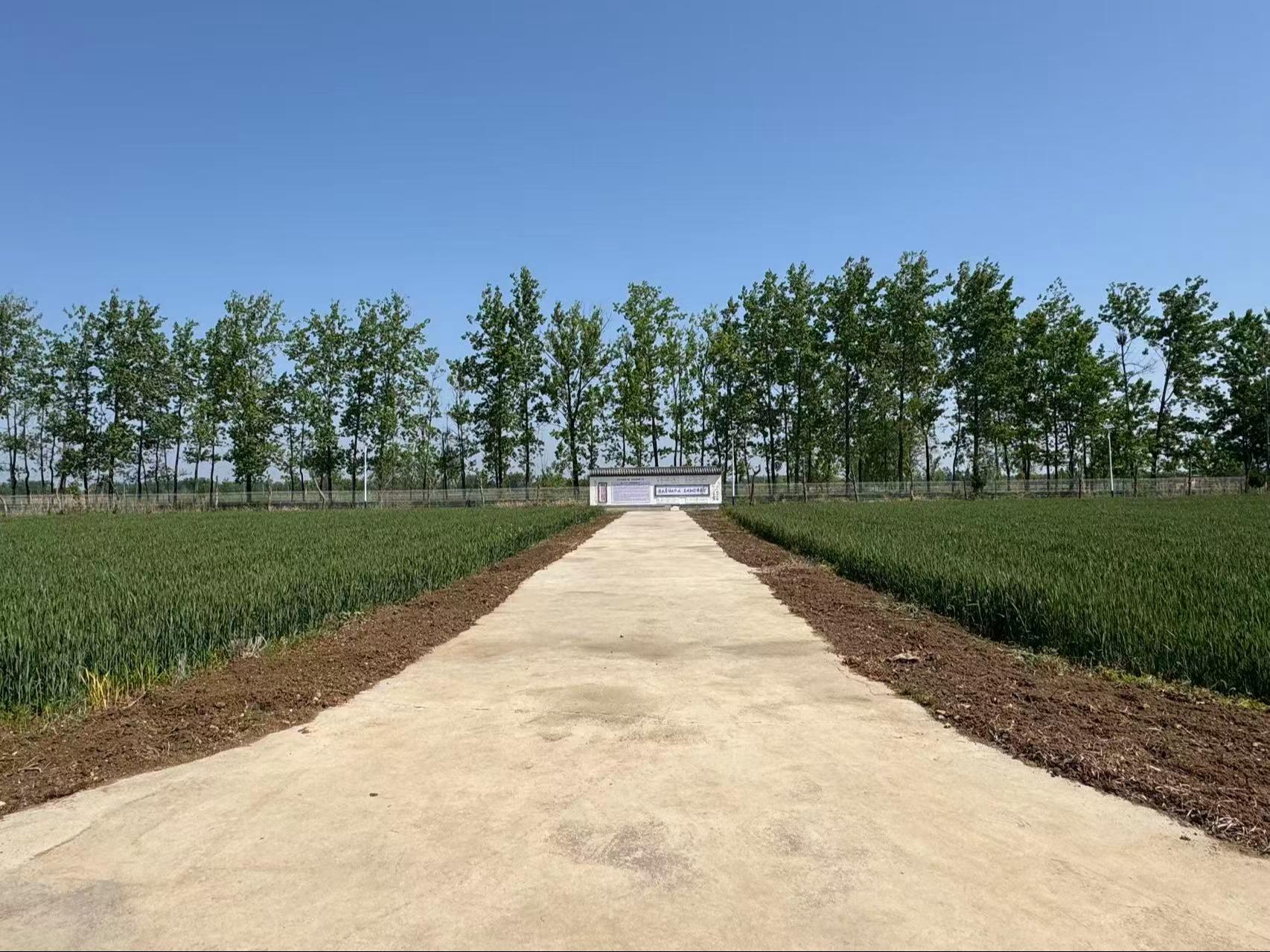 时集镇公墓园区图片