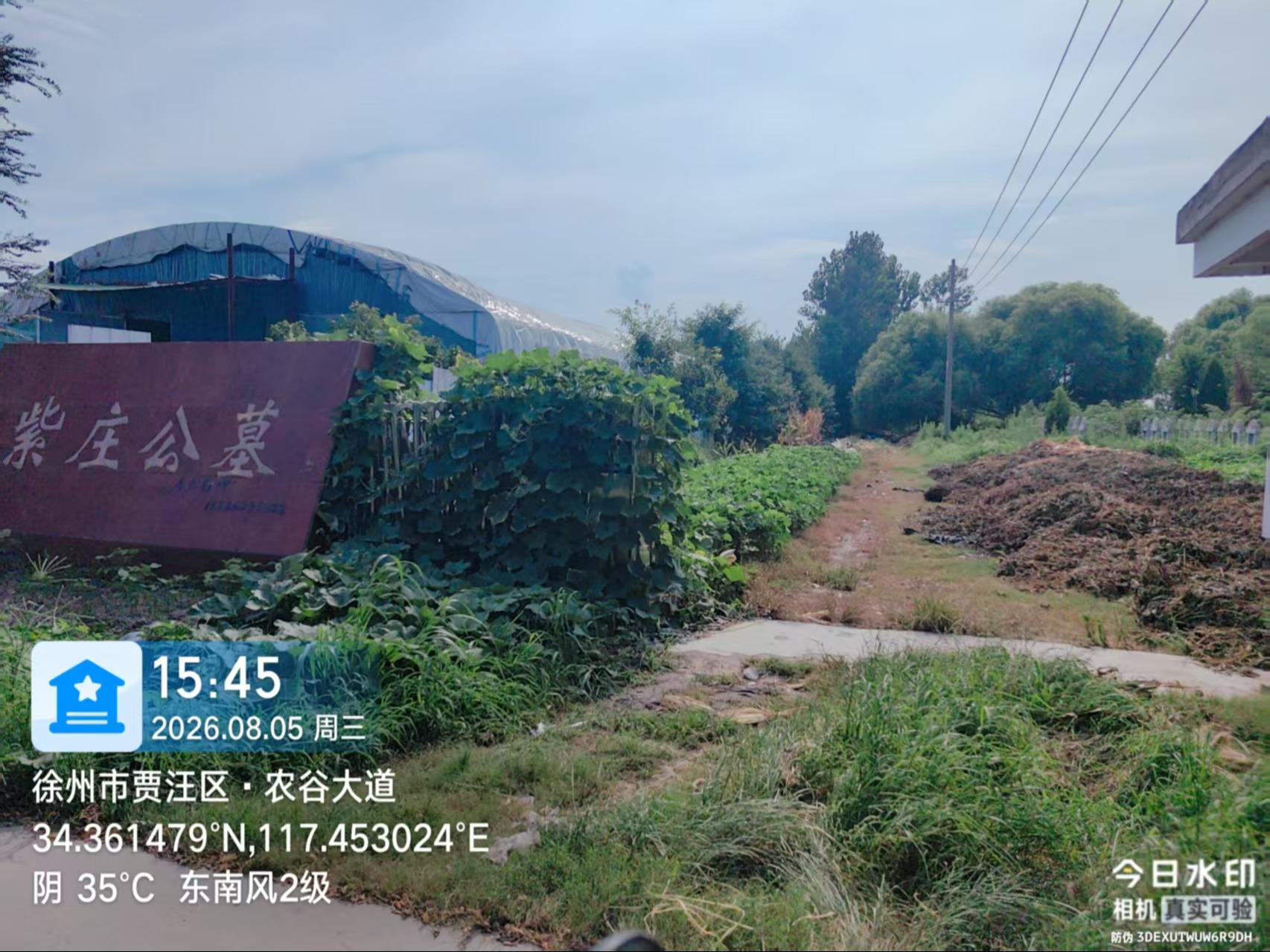 紫庄镇董庄村公益性公墓