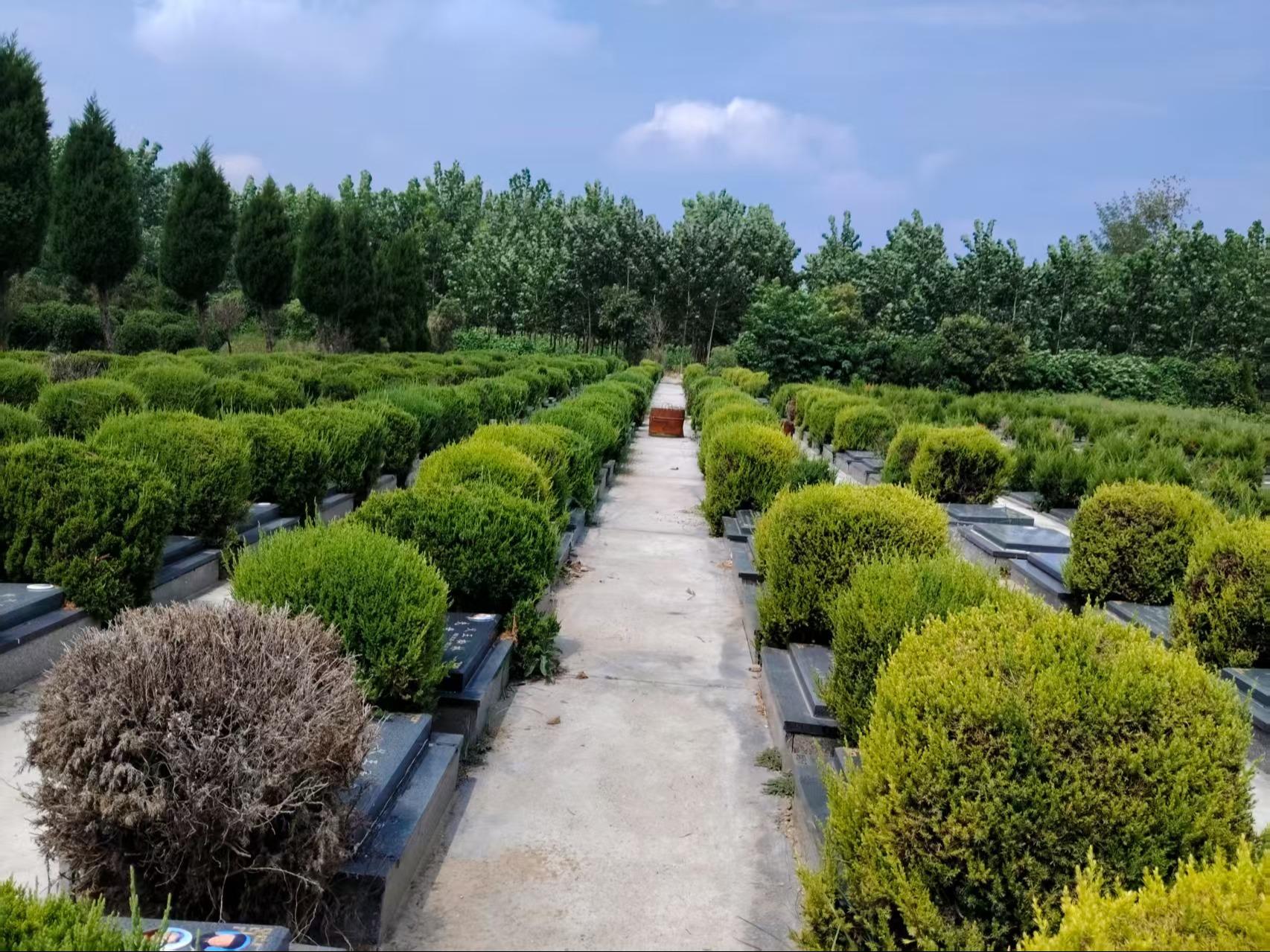 双沟镇黄河滩公墓园区图片