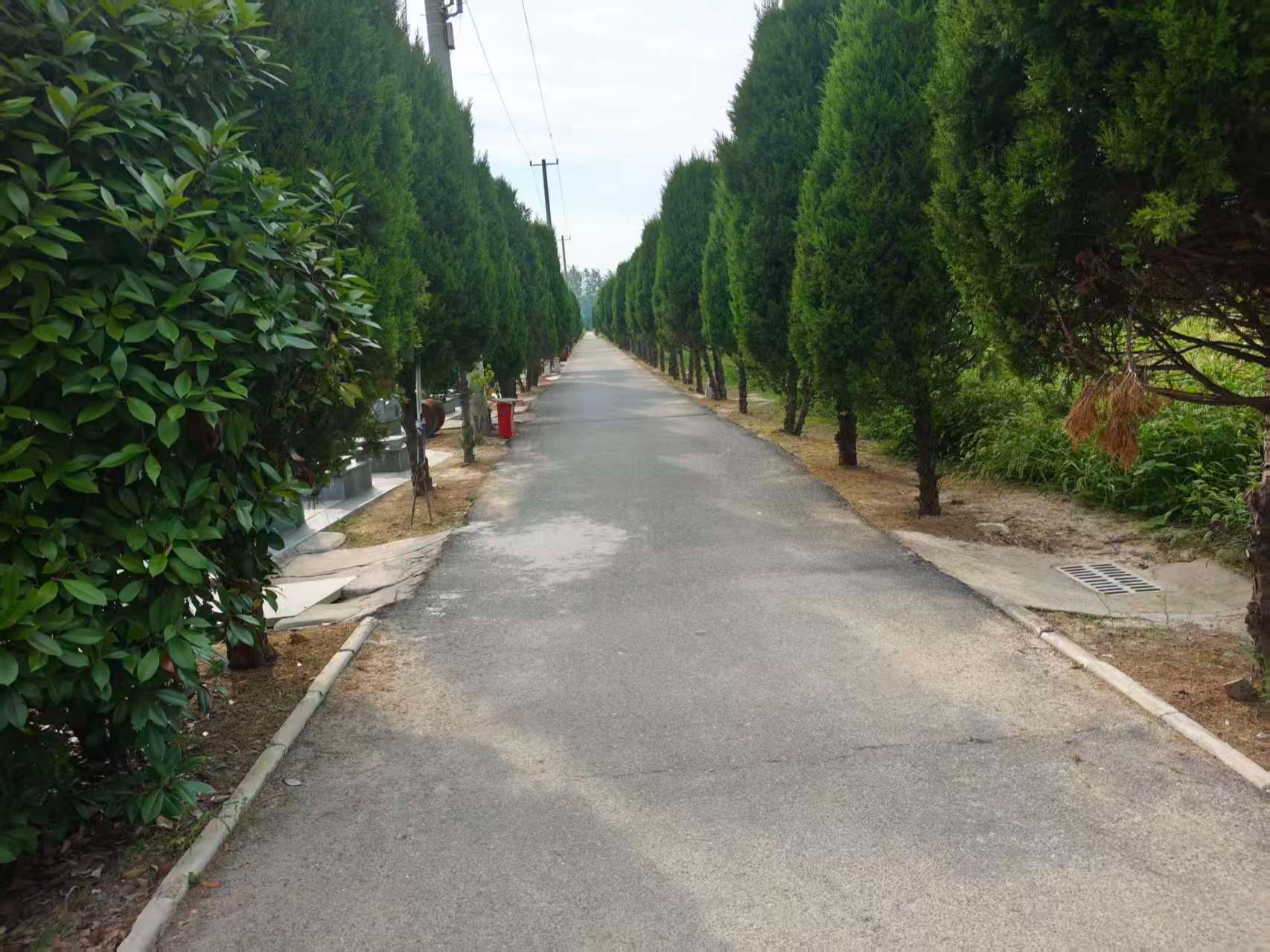 魏集镇祥和园公益性公墓园区图片