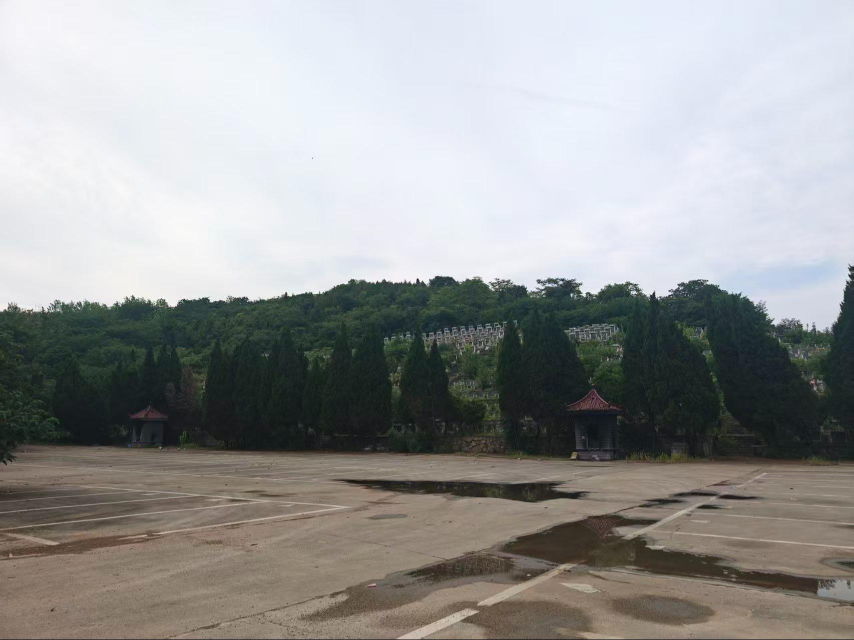 南京麒麟灵山公墓园区图片