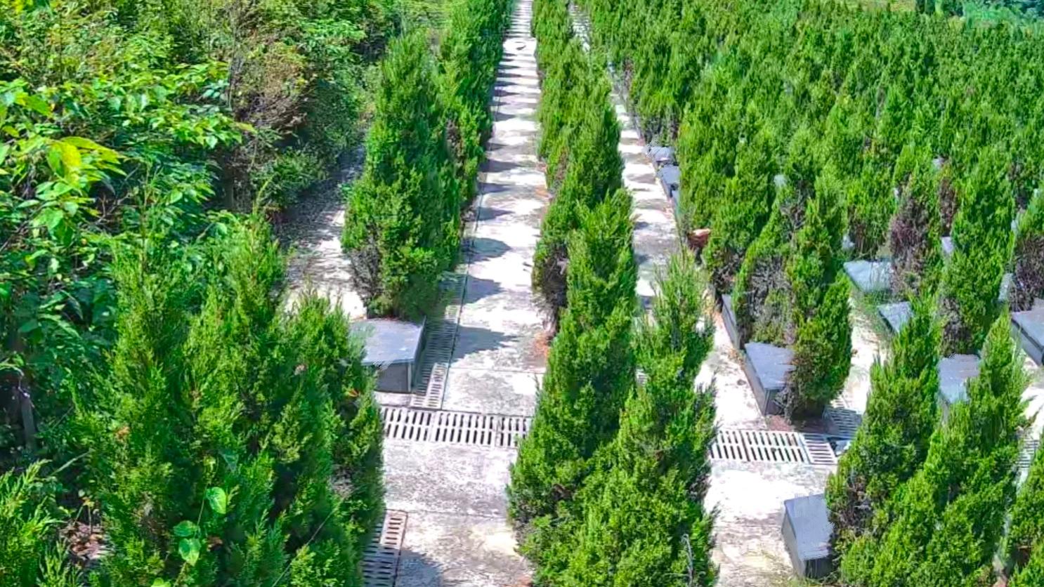 延令街道公益性公墓思亲苑墓区园区图片