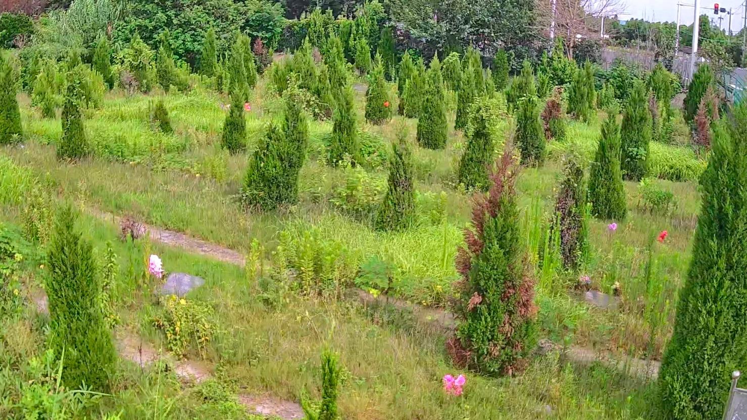 延令街道公益性公墓思亲苑墓区园区图片
