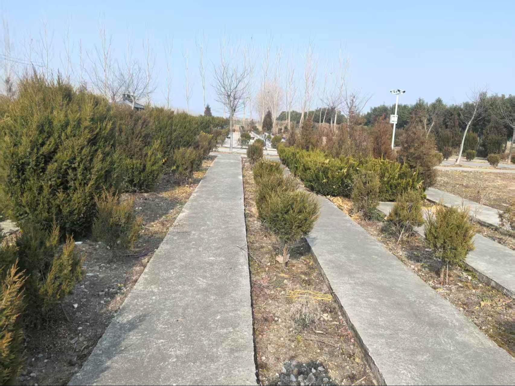 沭阳追思园西圩公墓园区图片