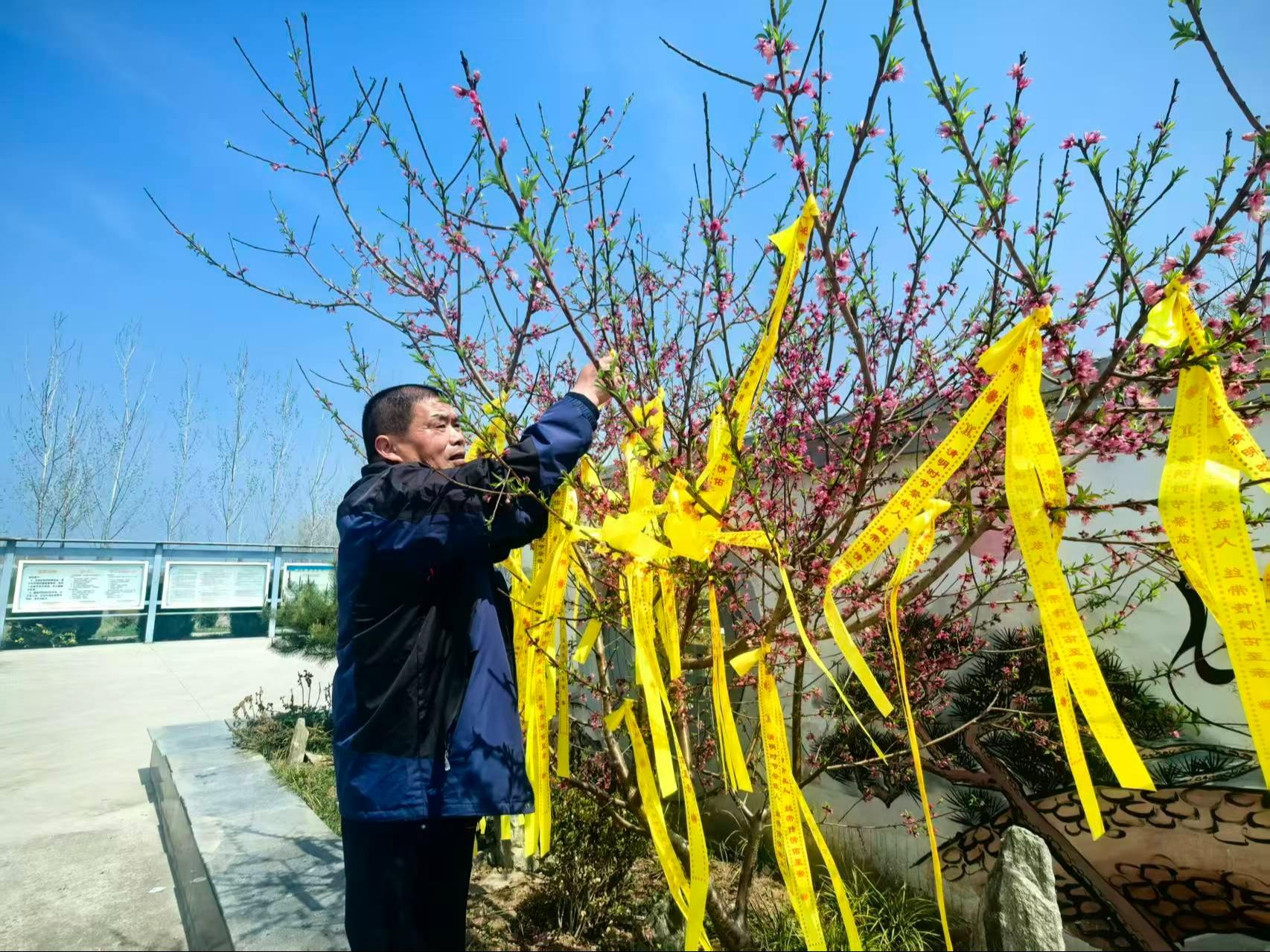 沭阳追思园西圩公墓园区图片