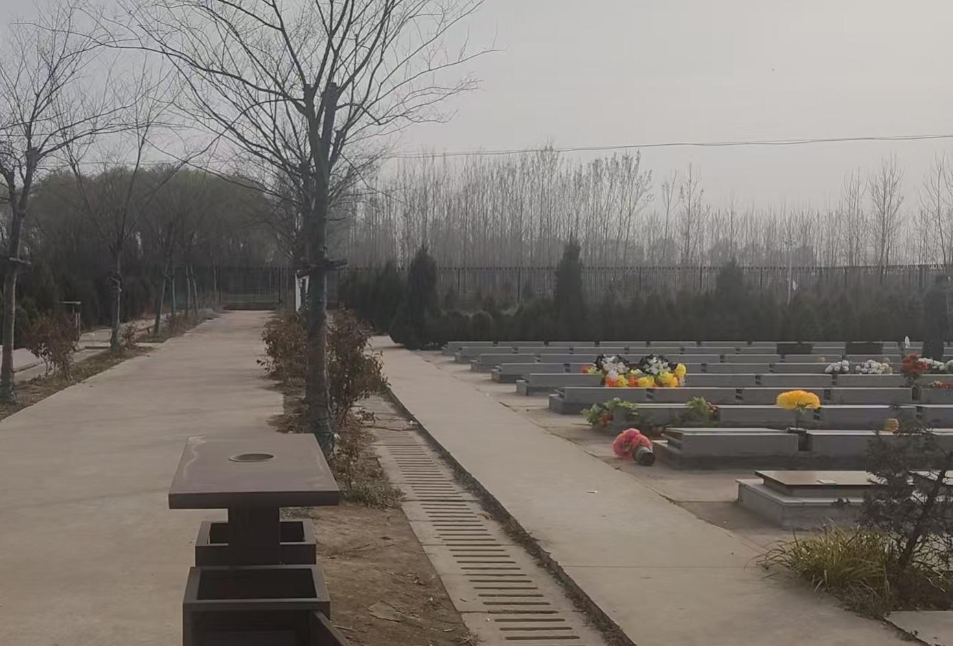 沭阳追思园华冲公墓园区图片