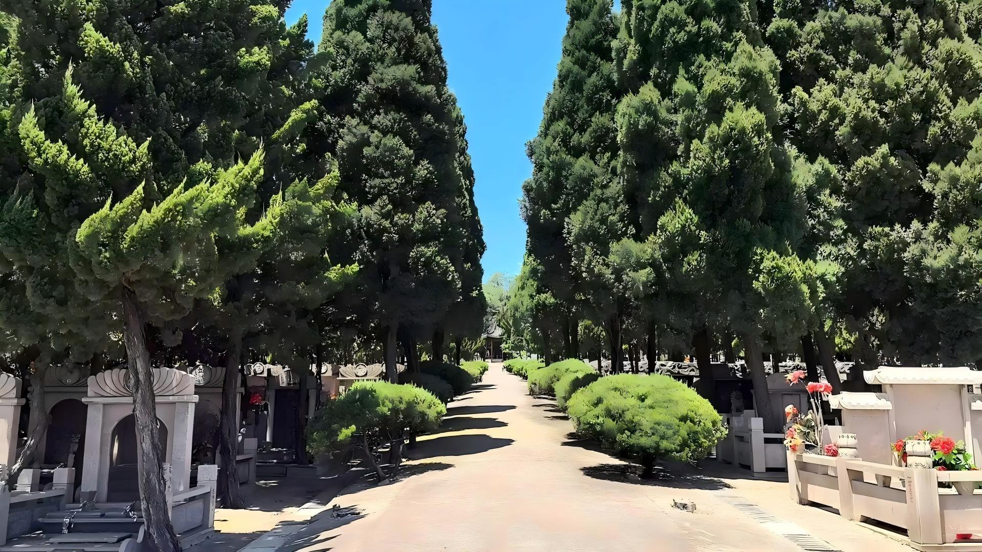 黄山公墓园区图片