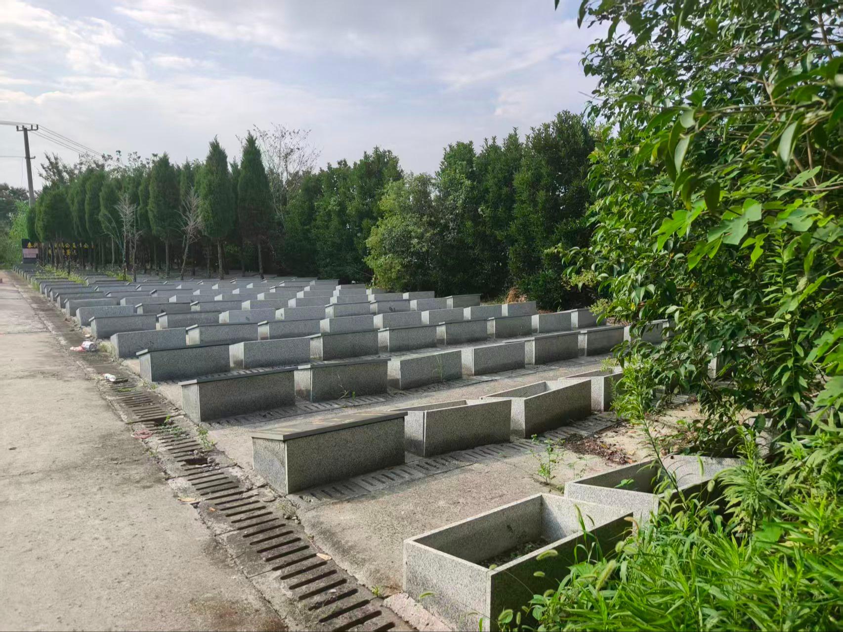 泰兴市珊瑚镇公益性公墓周岱村墓区园区图片