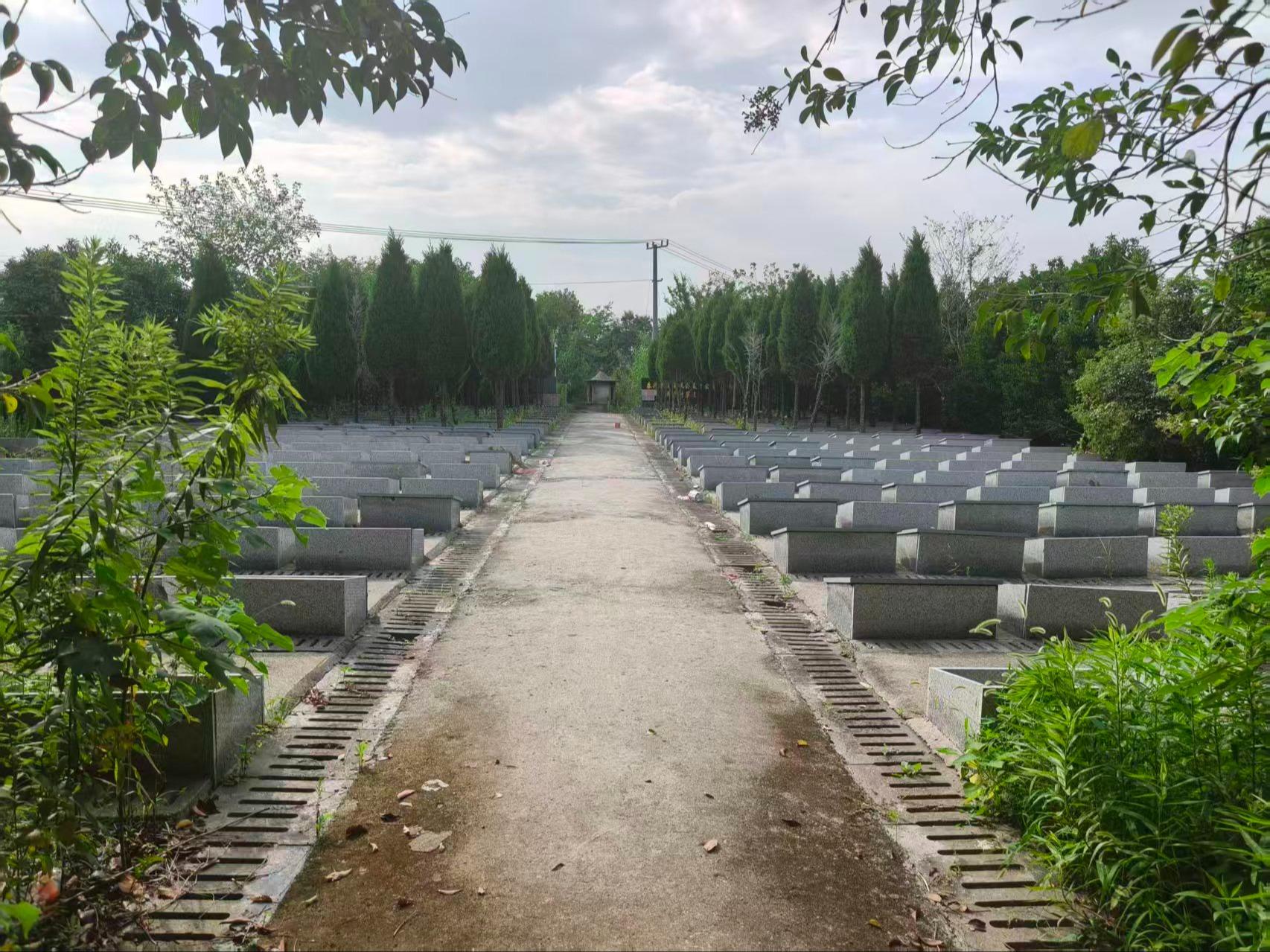 泰兴市珊瑚镇公益性公墓周岱村墓区园区图片