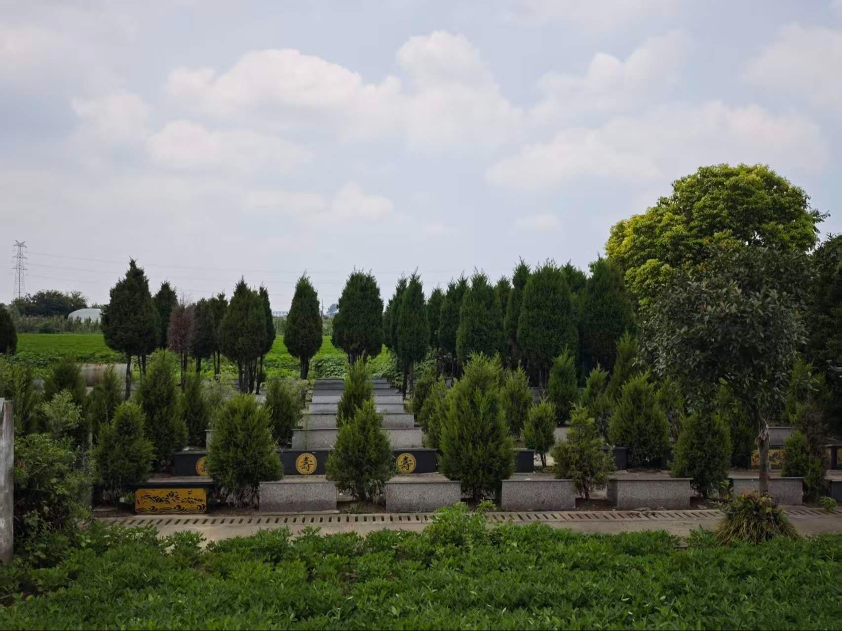 泰兴市元竹镇公益性公墓沿泰墓区园区图片