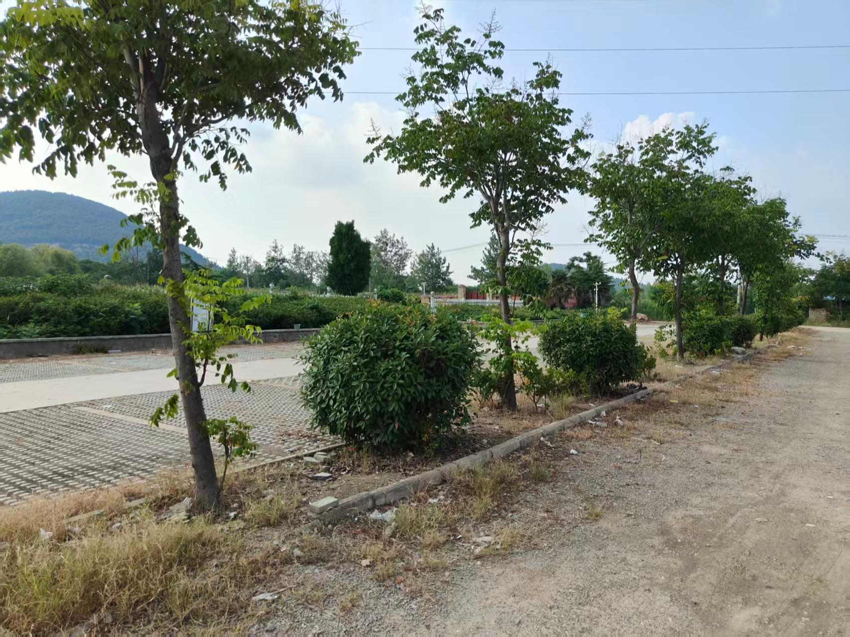 青山泉镇鸡鸣山公益性公墓园区图片
