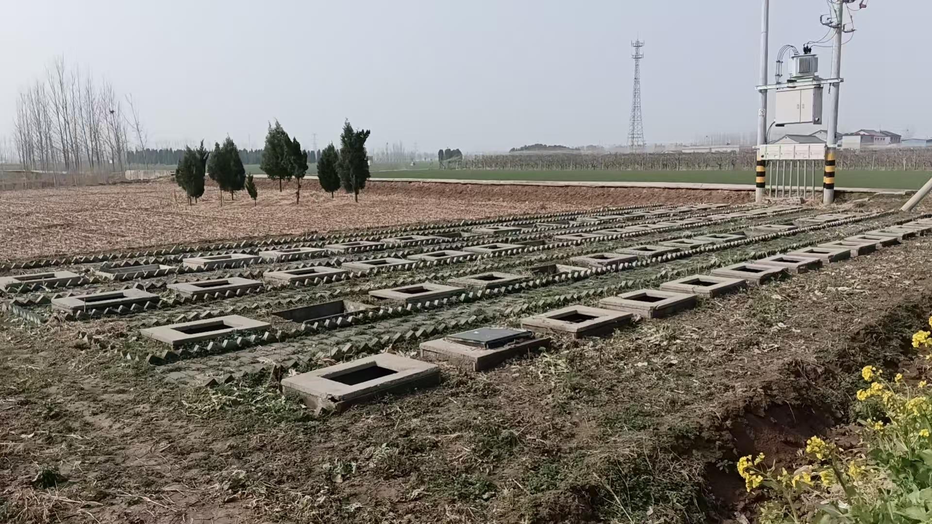 太山镇示范性公益性公墓园区图片