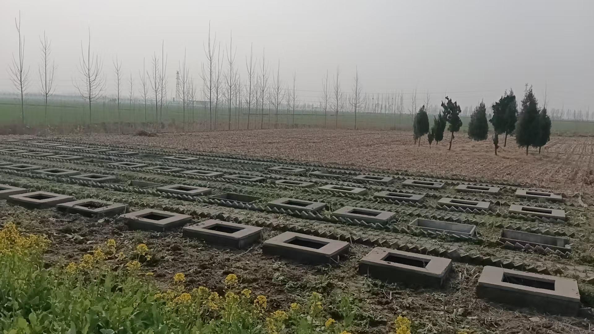 太山镇示范性公益性公墓园区图片