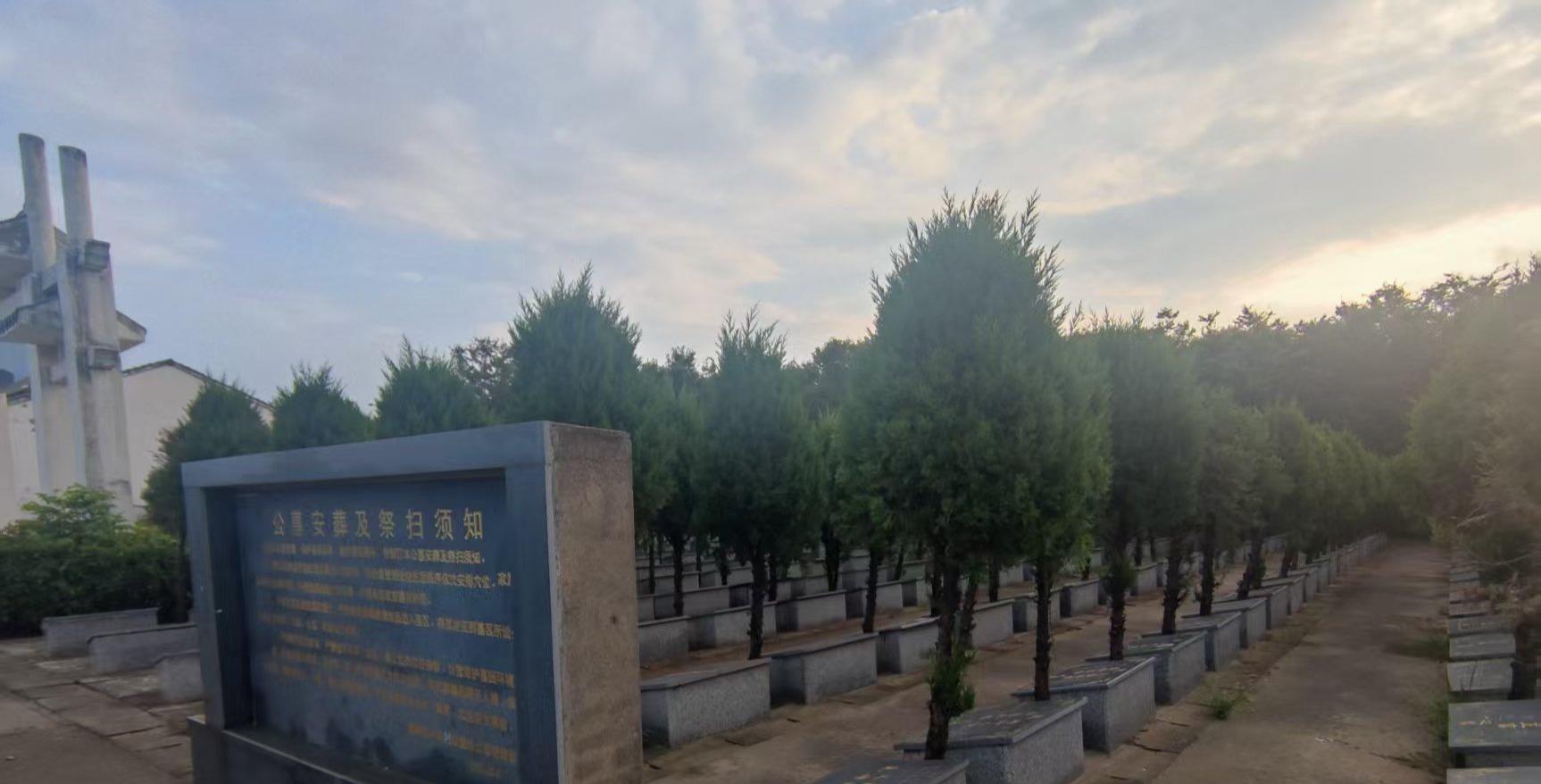 黄桥镇公益性公墓双联墓区园区图片
