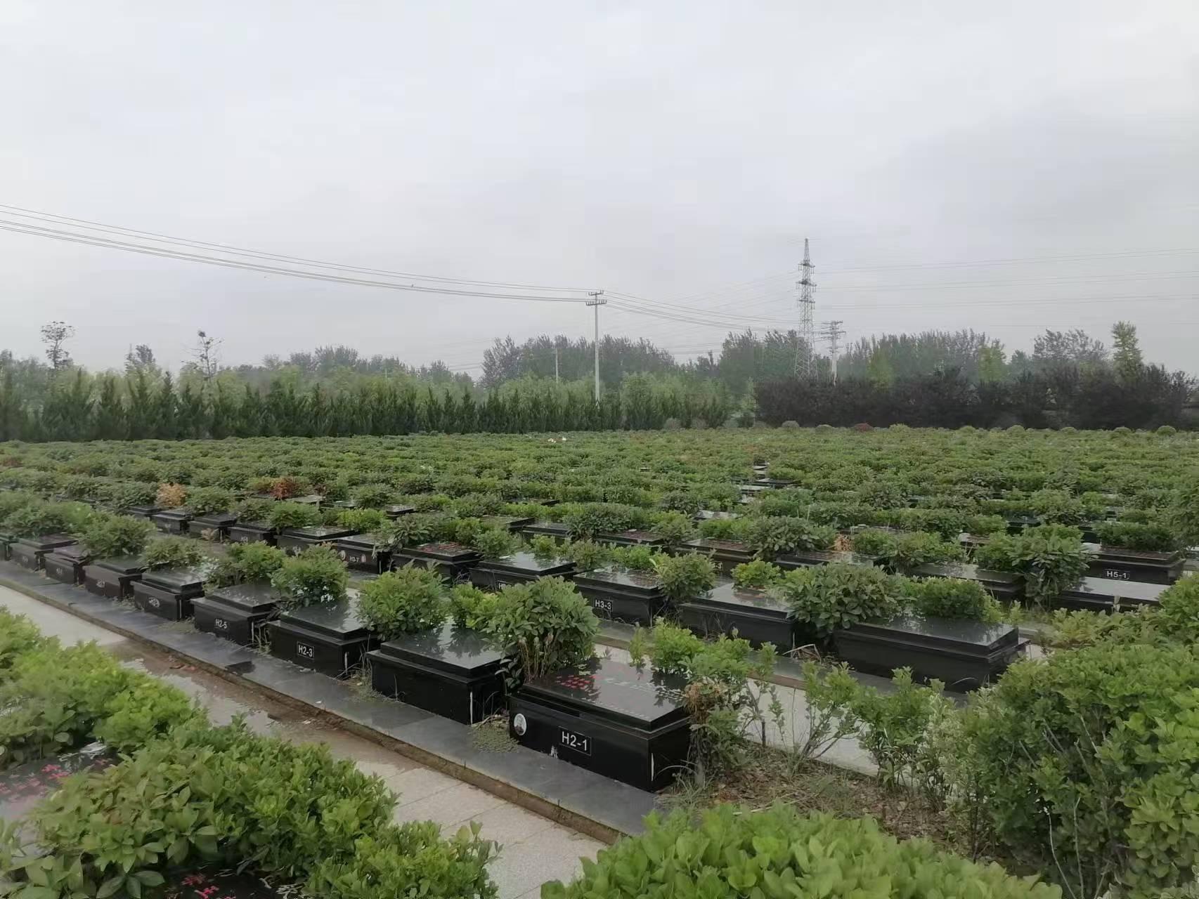 梁集公墓园区图片