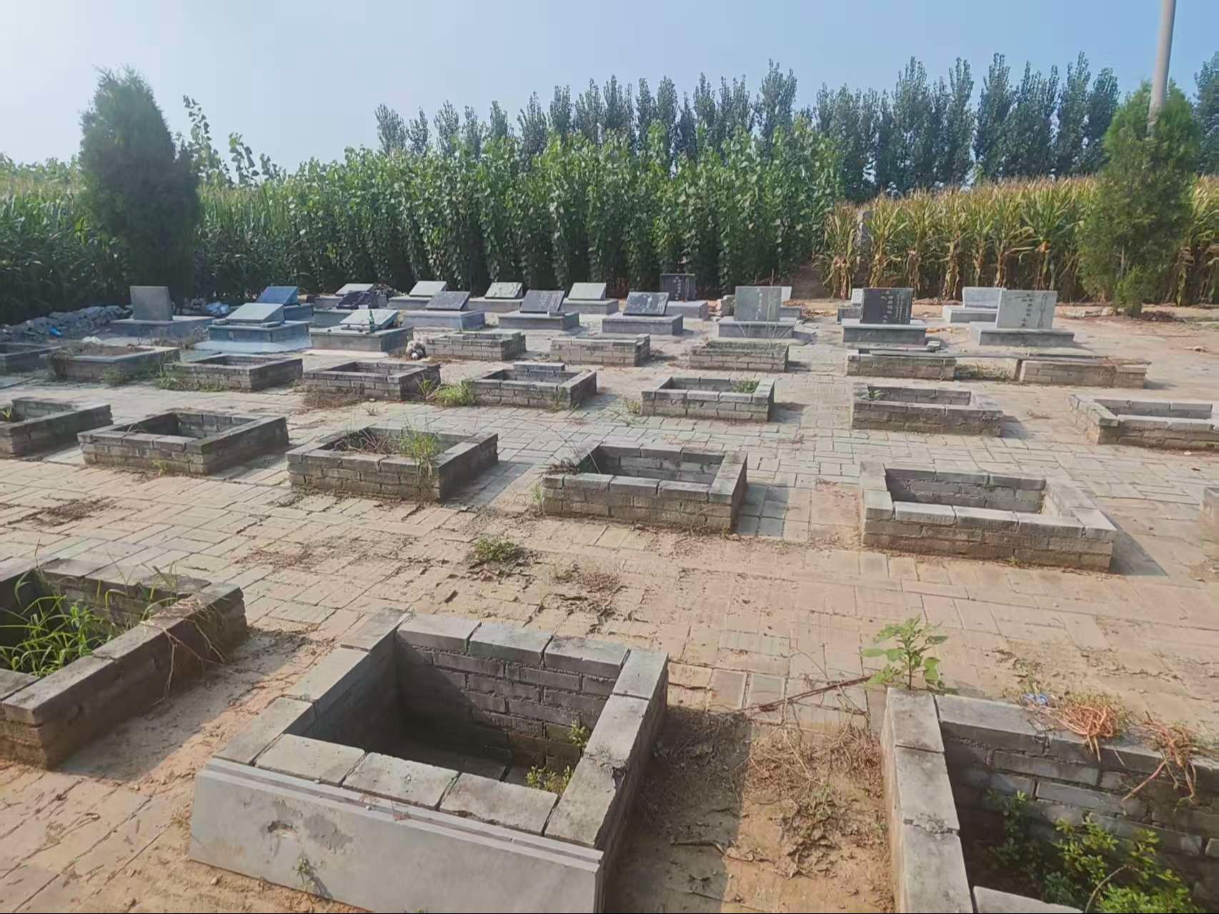 照镜镇示范性公益性公益园区图片