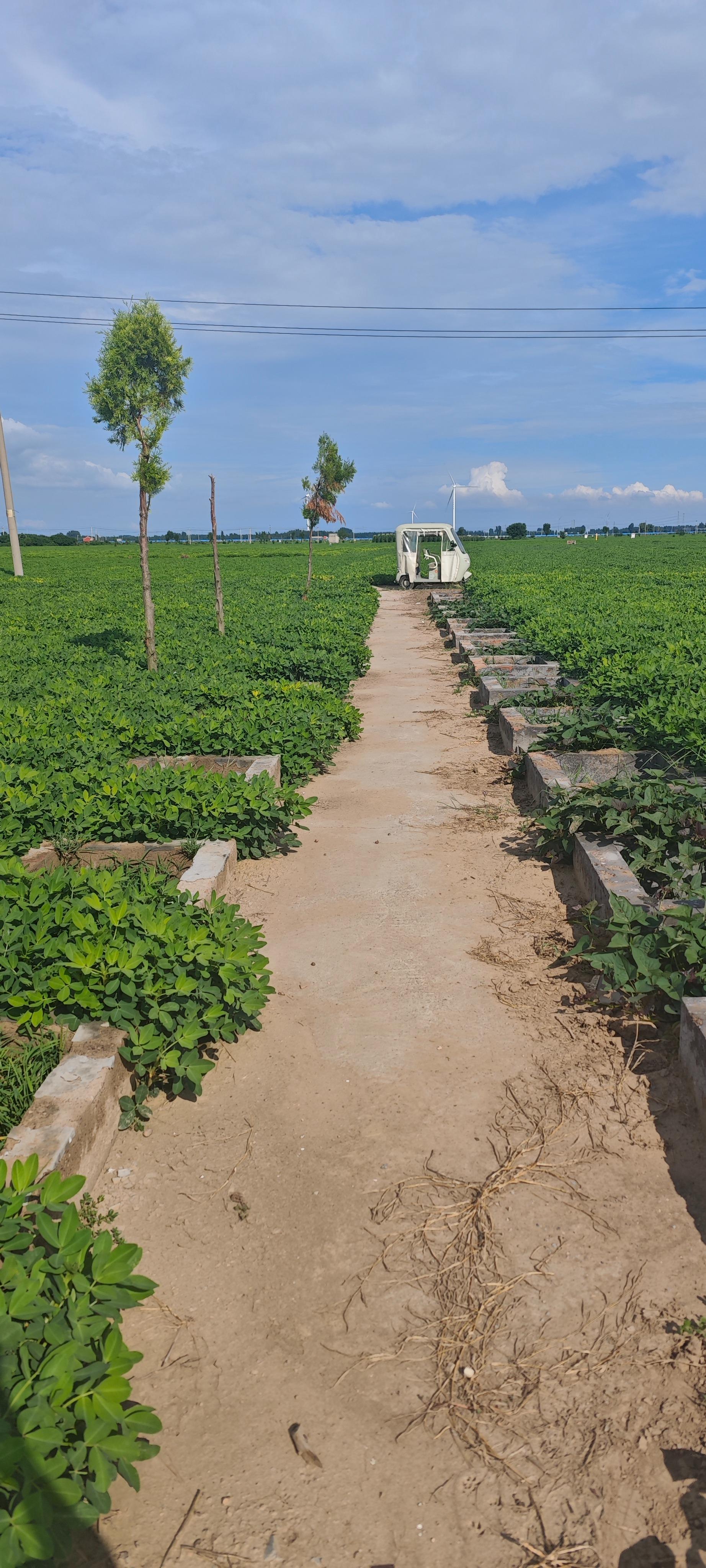 新乡县古固寨镇冷庄公益性公墓