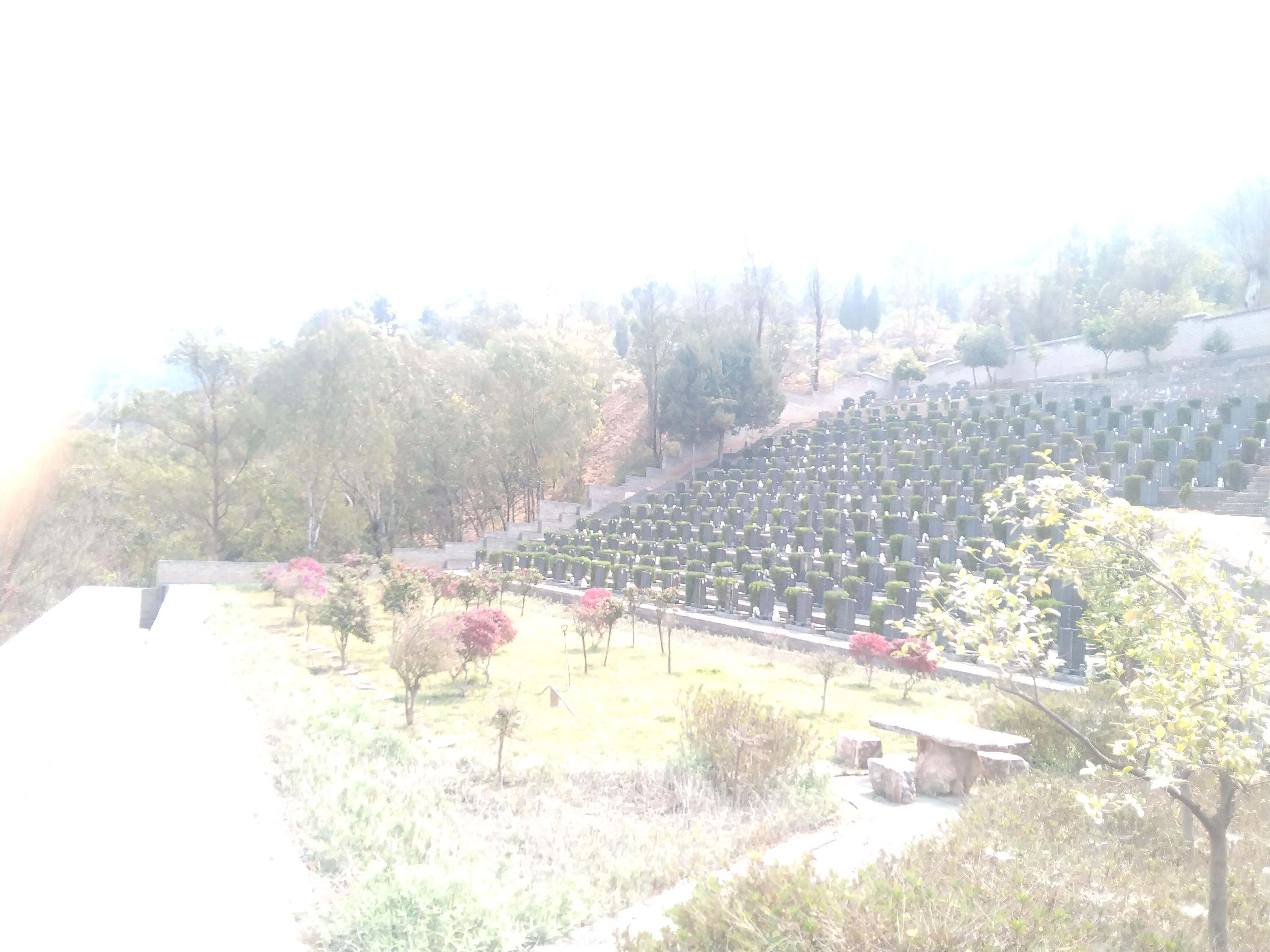 禄丰市龙翔公墓园区图片