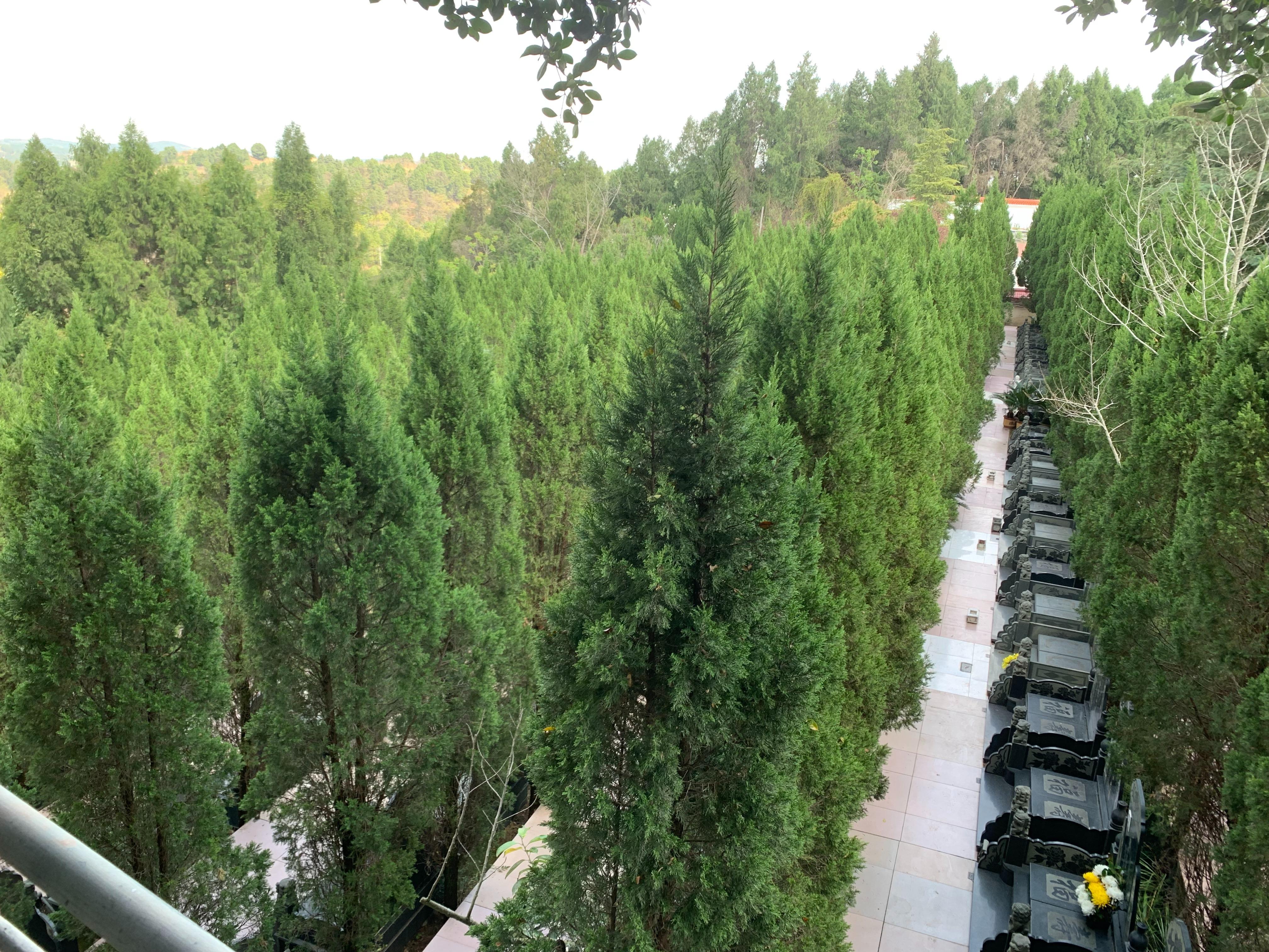 简阳市孝子山陵园园区图片