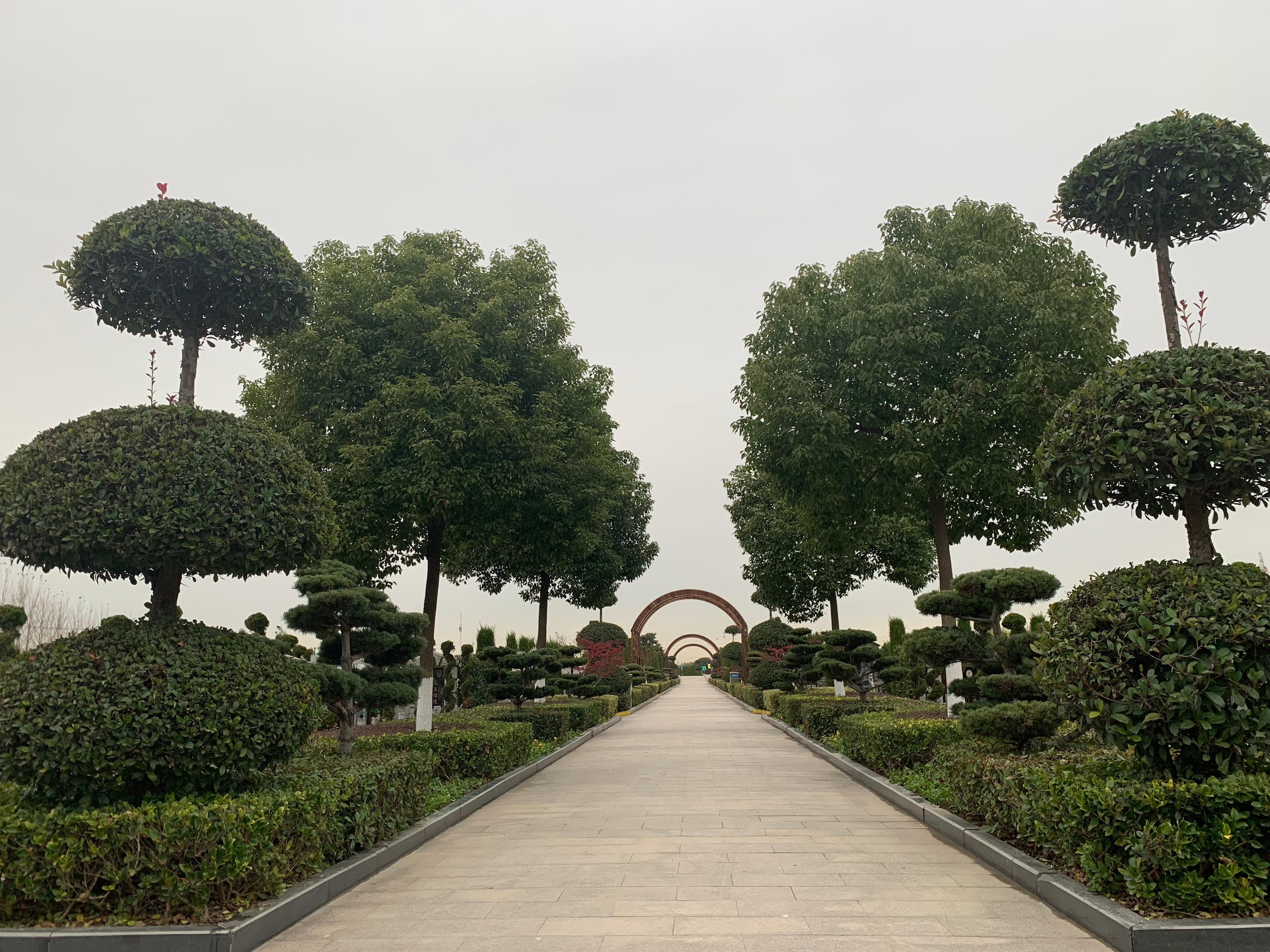 上海天国墓园园区图片