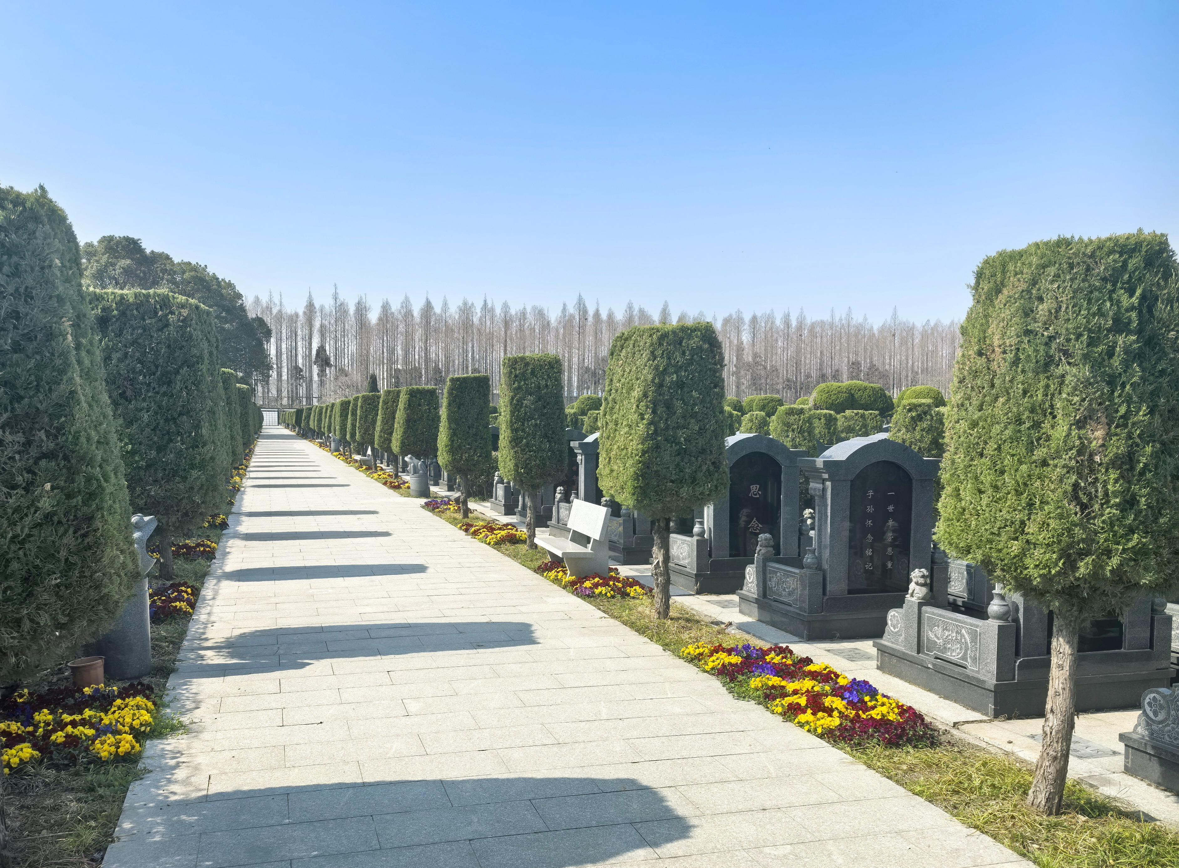 上海市崇明区鳌山瞑园园区图片