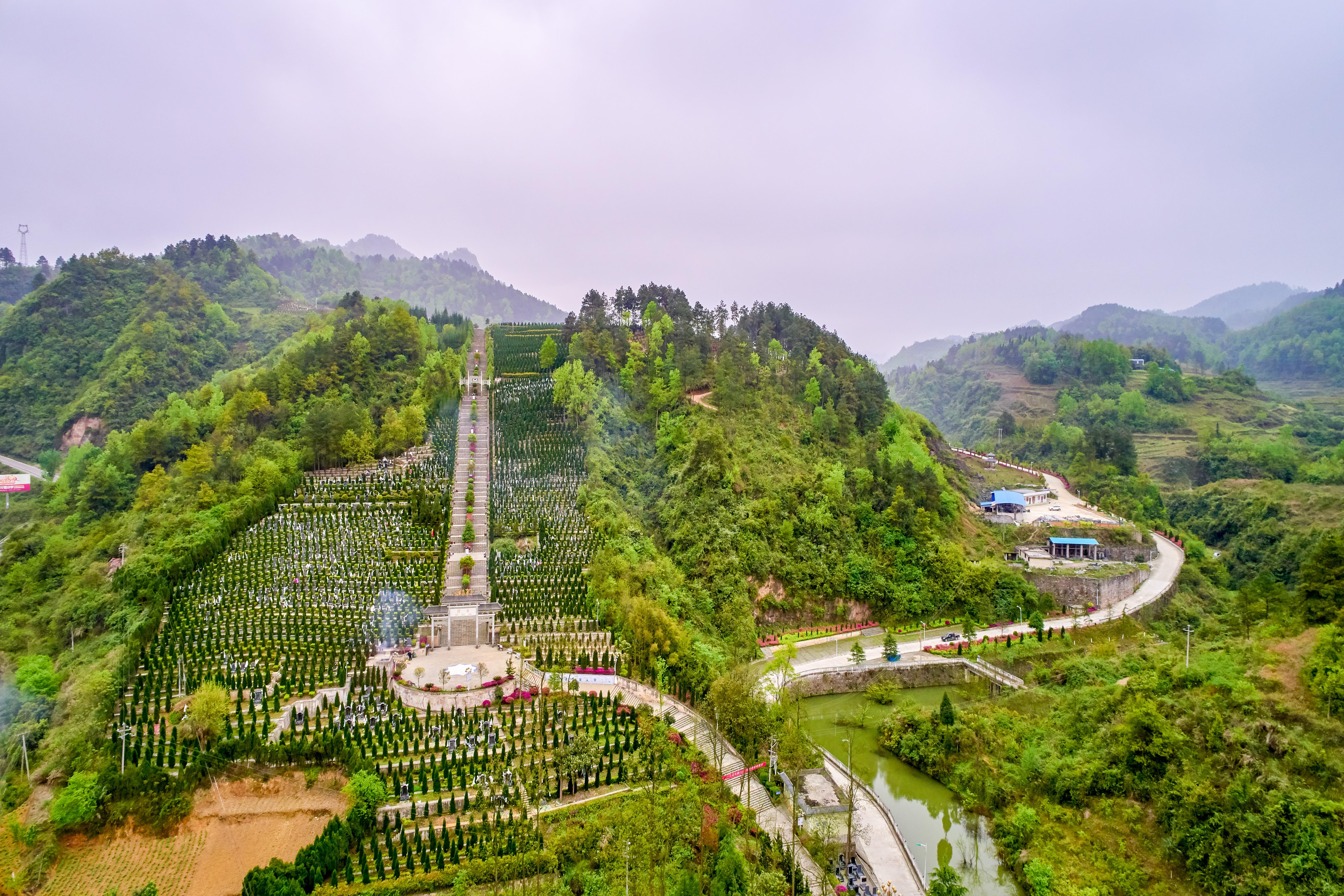 九龙园公墓园区图片