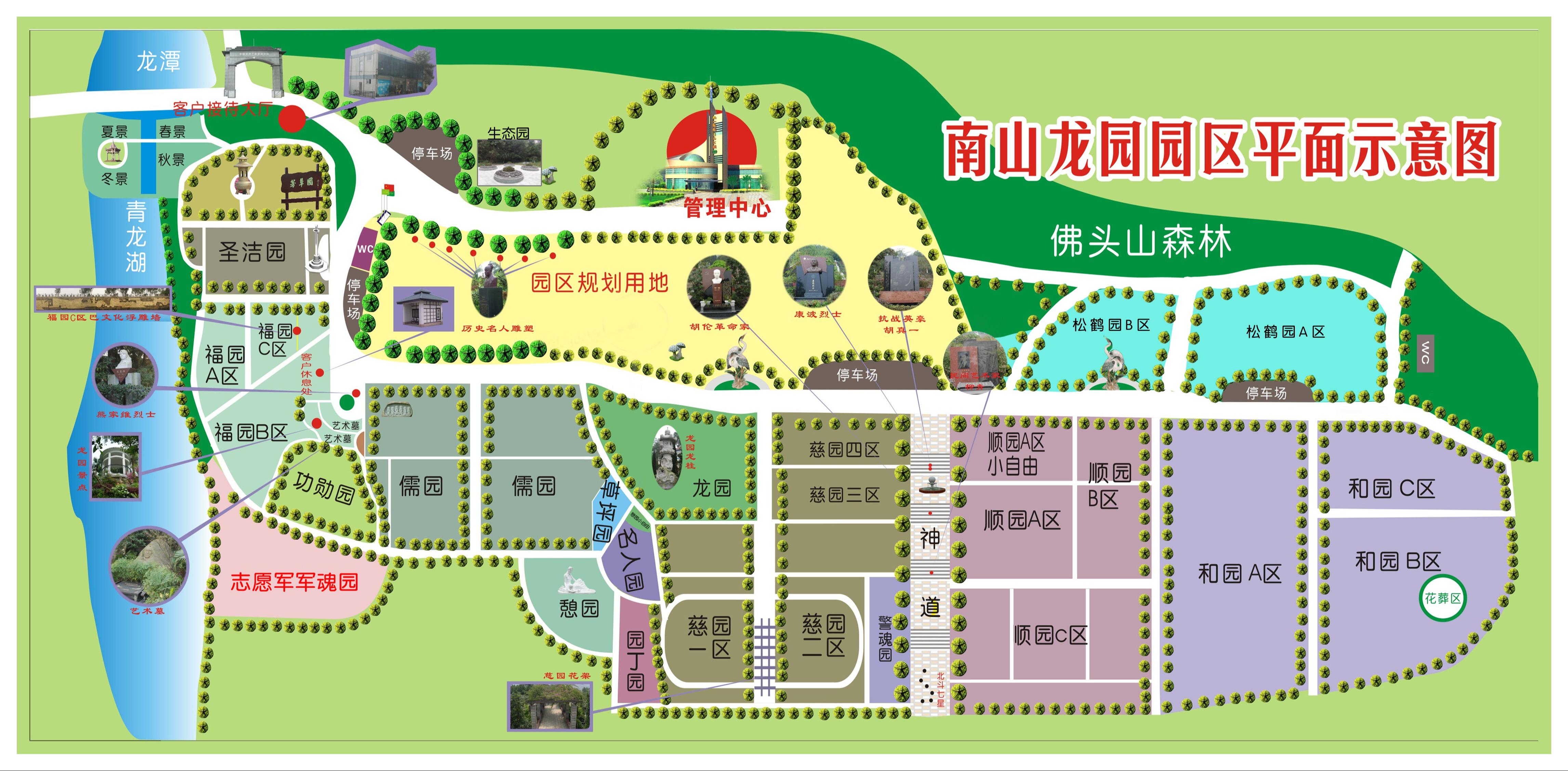 南山龙园园区图片