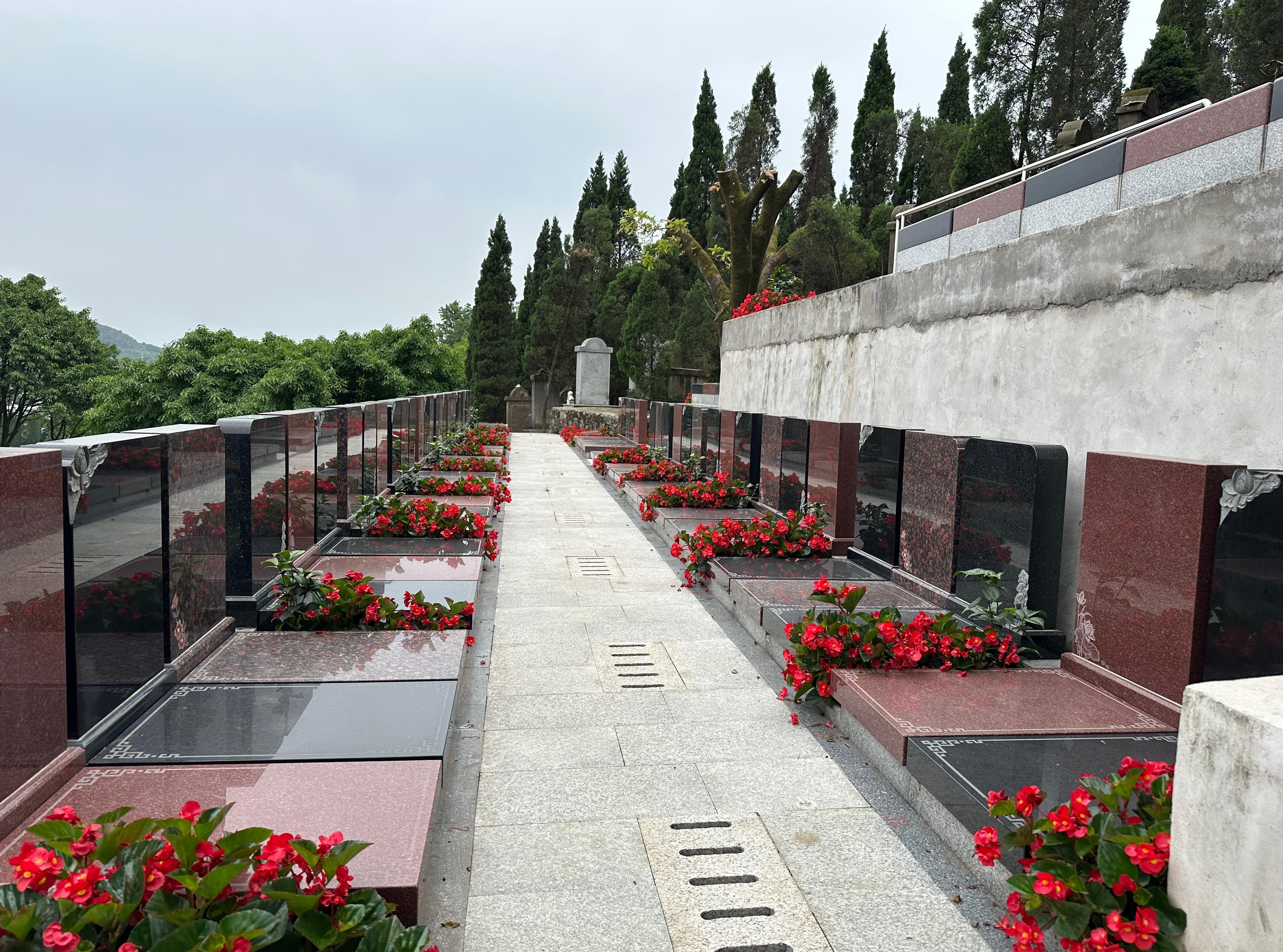 重庆市沙坪坝区歌乐山园林公墓园区图片