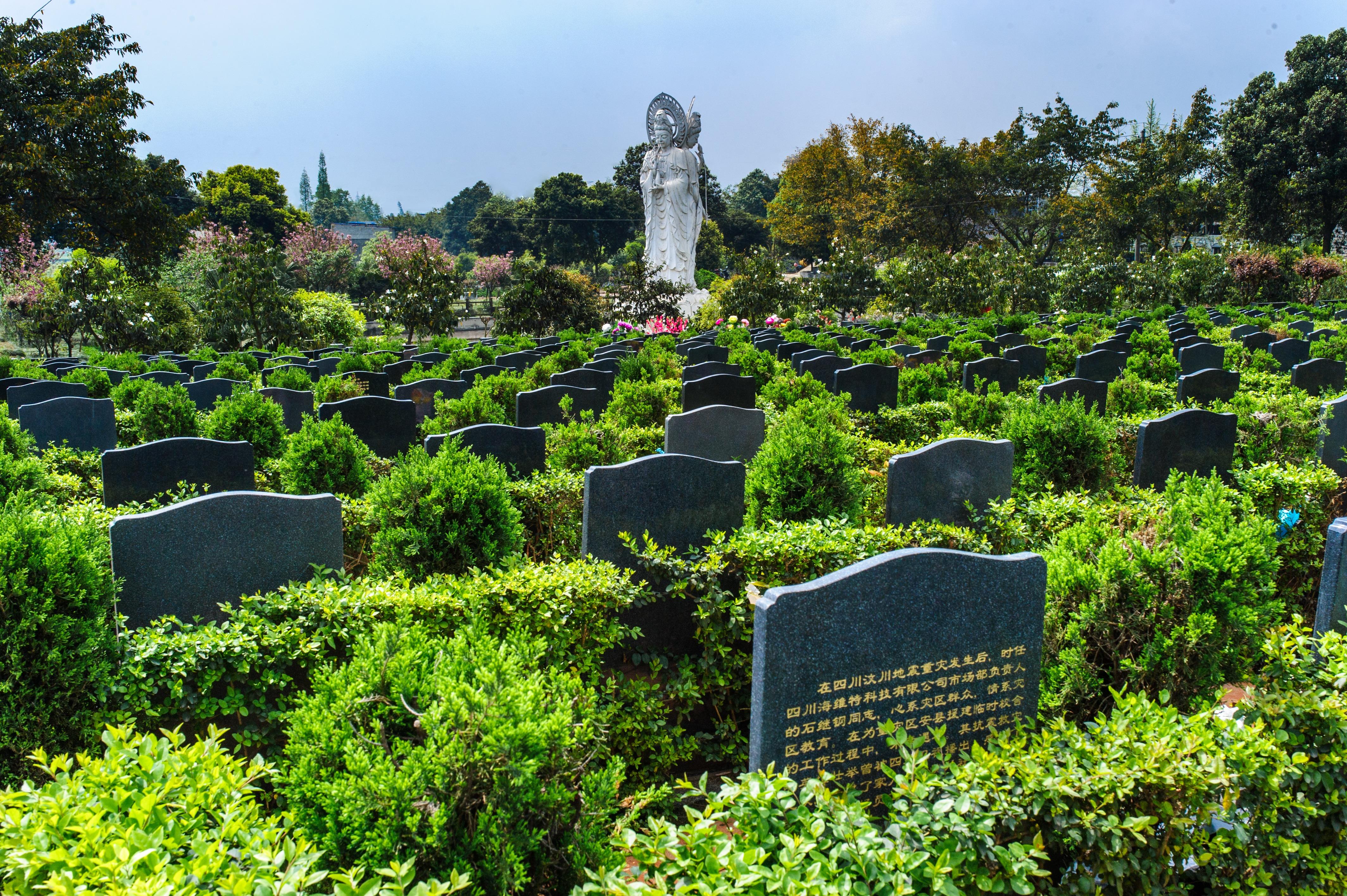 成都市新都区龙凤山公墓园区图片