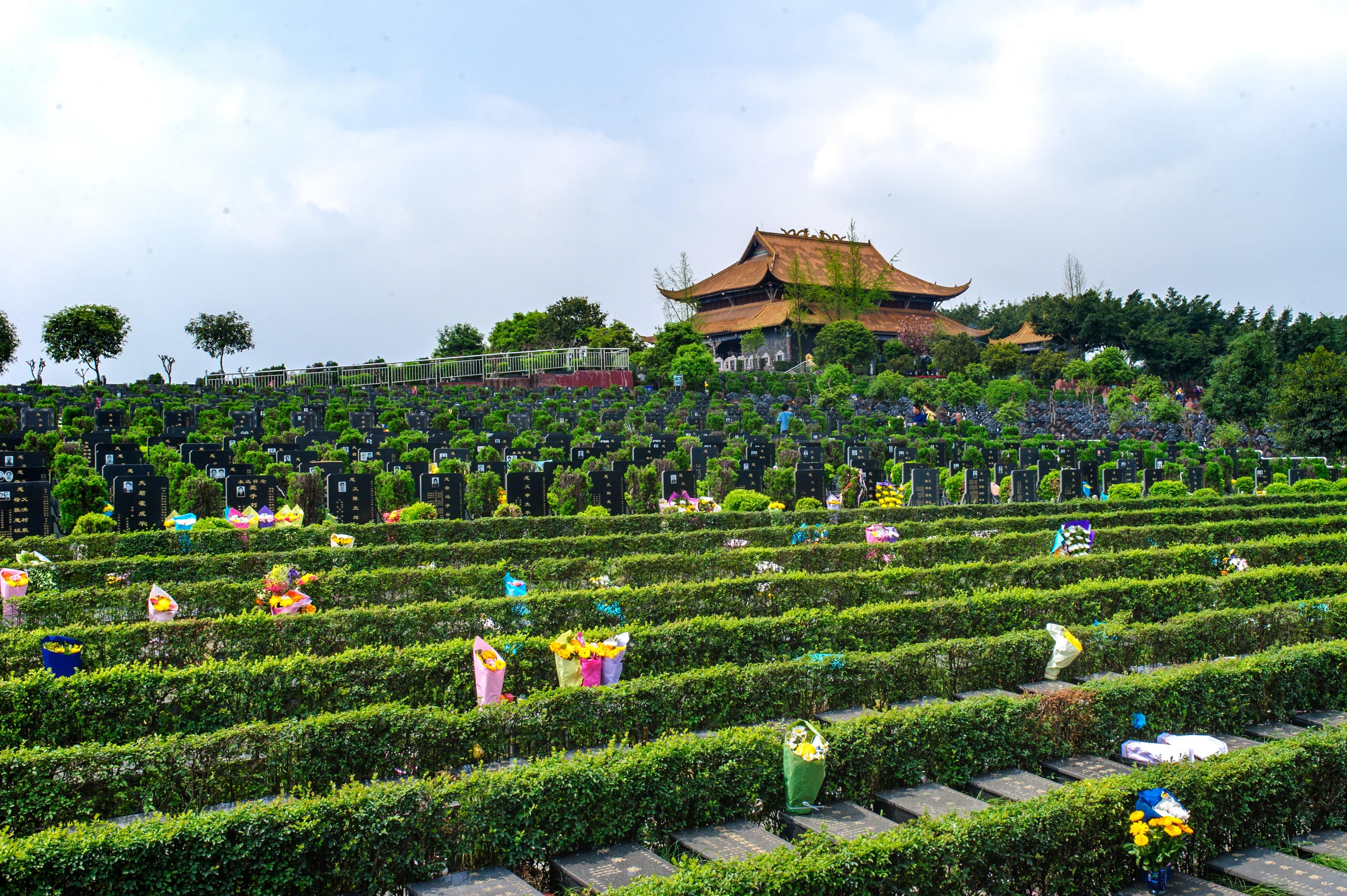 成都市新都区龙凤山公墓园区图片
