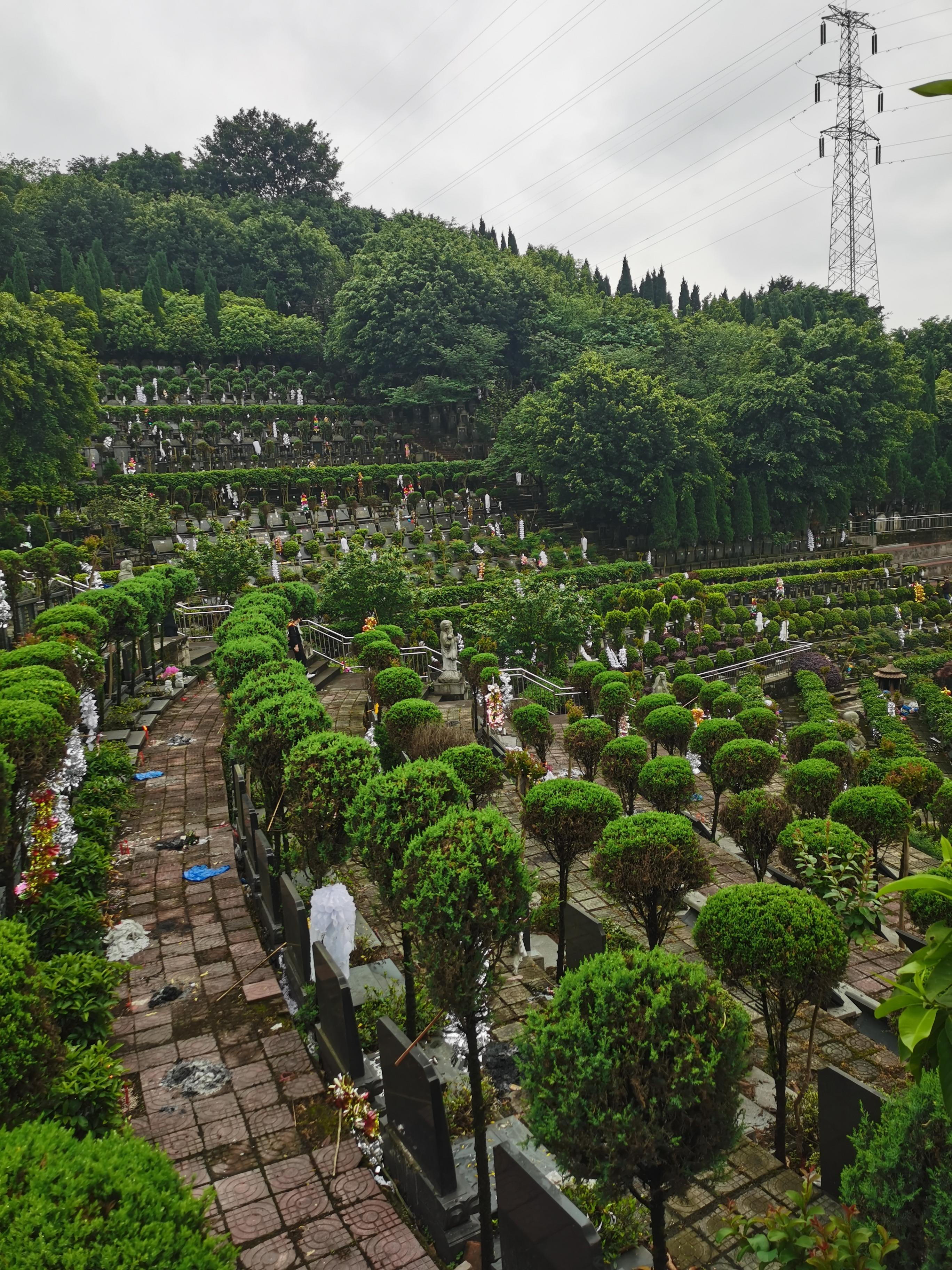 重庆南岸涂莲公墓有限公司园区图片